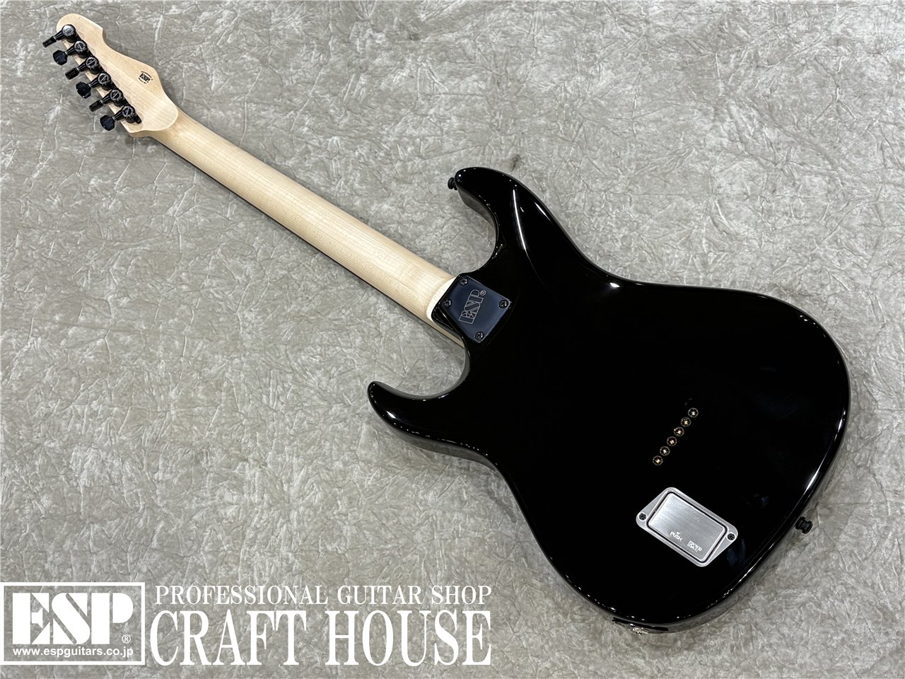 【即納可能】E-II SN-3 / Tiger Eye Sunburst　渋谷店 - 5