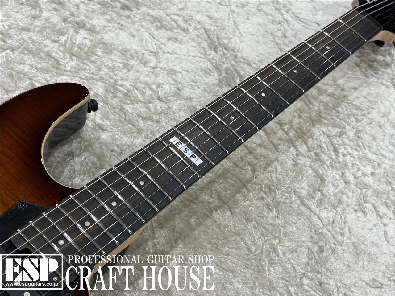 【即納可能】E-II SN-3 / Tiger Eye Sunburst　渋谷店 - 3