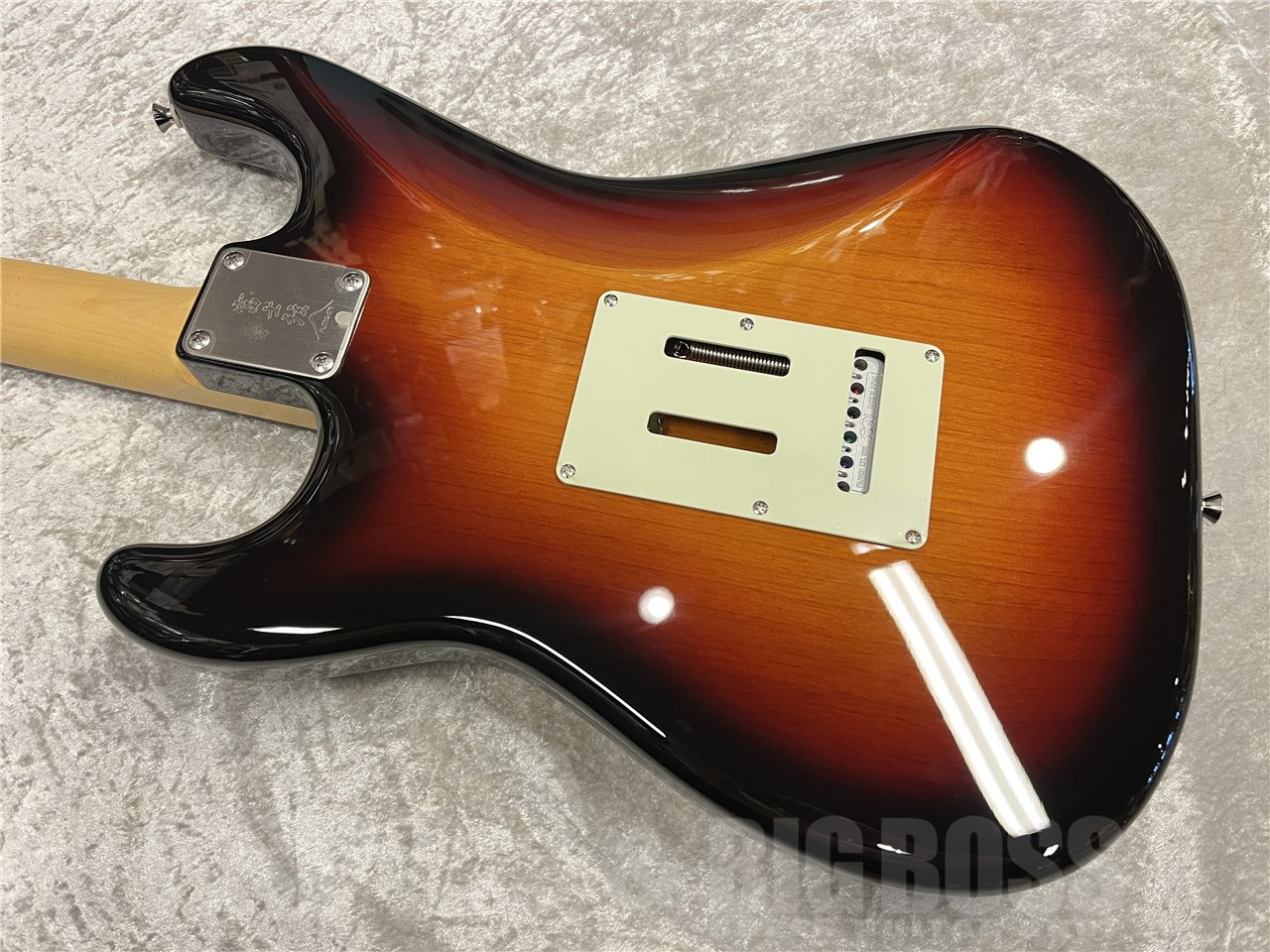 即納可能】FUJIGEN（FGN / フジゲン）NST200RAL（Vintage Sunburst