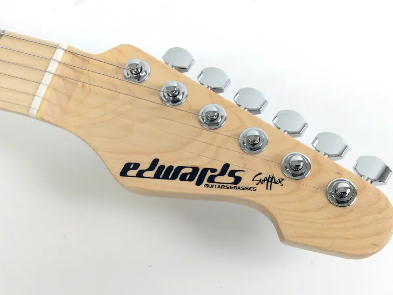 【お取寄せ商品】EDWARDS(エドワーズ) E-SNAPPER-AS/M (Turquoise) - 3
