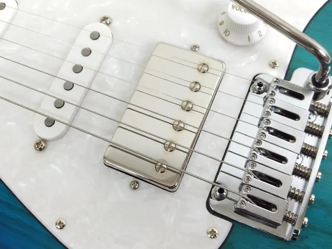 【お取寄せ商品】EDWARDS(エドワーズ) E-SNAPPER-AS/M (Turquoise) - 4