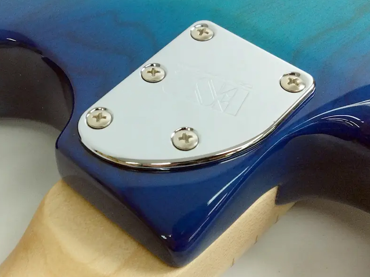 【お取寄せ商品】EDWARDS(エドワーズ) E-SNAPPER-AS/M (Turquoise) - 5