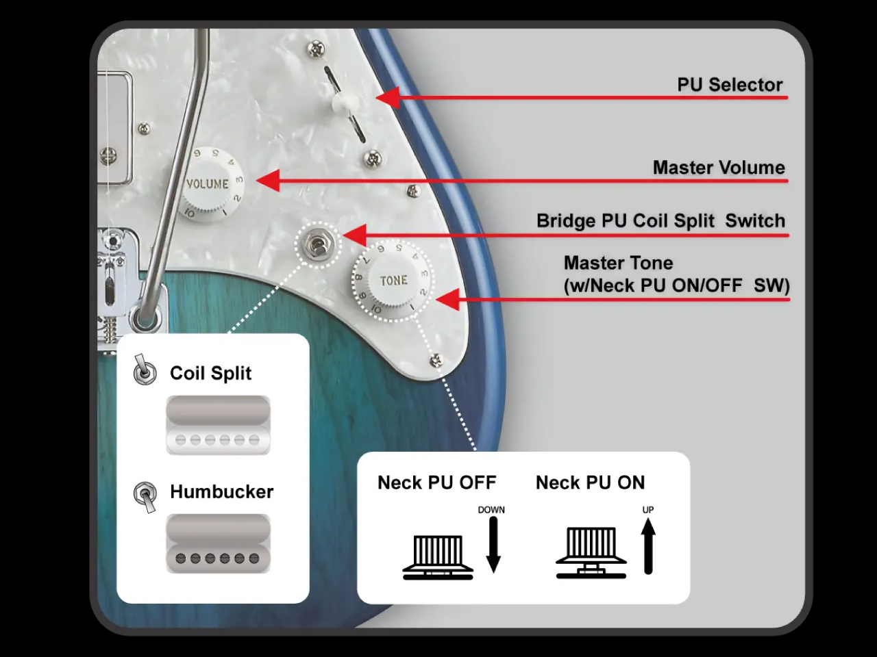 【お取寄せ商品】EDWARDS(エドワーズ) E-SNAPPER-AS/M (Turquoise) - 8