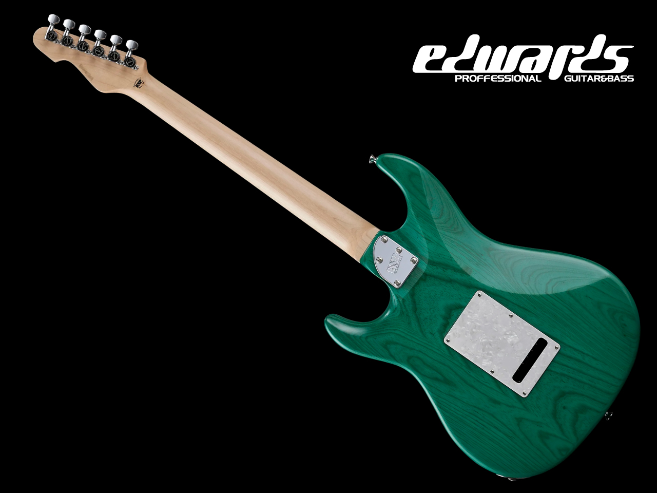 【お取寄せ商品】EDWARDS(エドワーズ) E-SNAPPER-AS/M (Turquoise) - 2