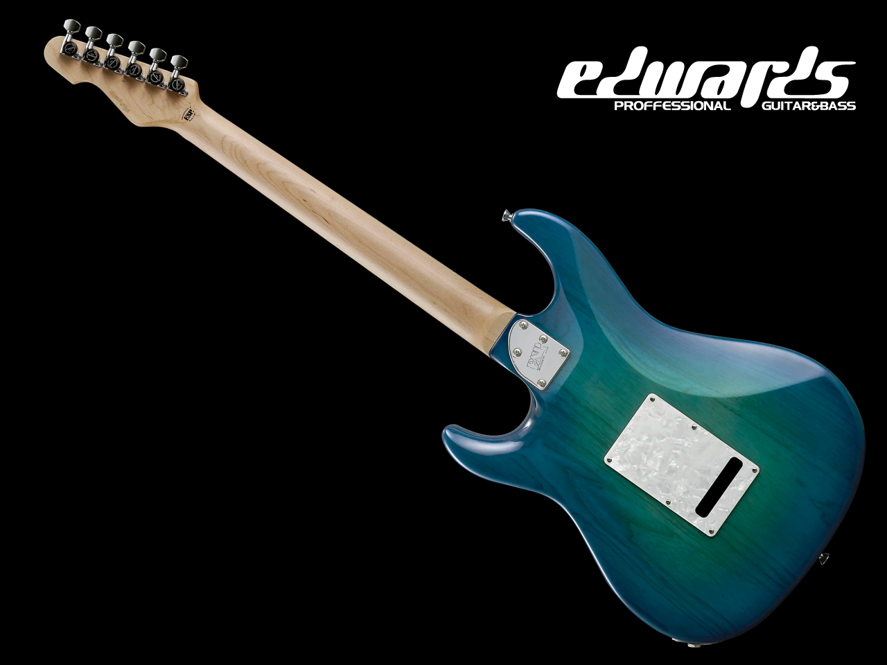 【お取寄せ商品】EDWARDS(エドワーズ) E-SNAPPER-AS/M (See Thru Blue Sunburst) - 2