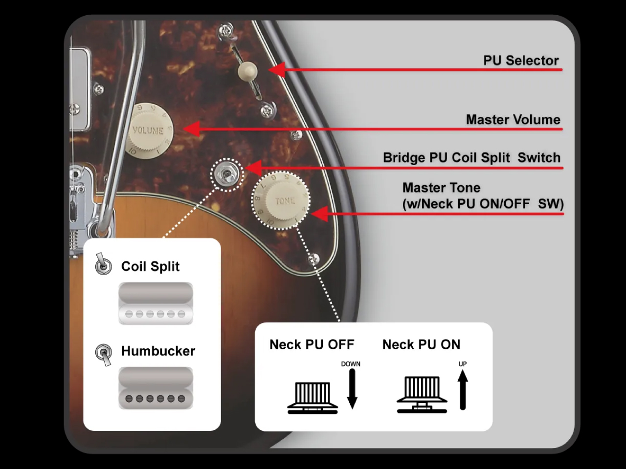 【お取寄せ商品】EDWARDS(エドワーズ) E-SNAPPER-AL/R (Off white)