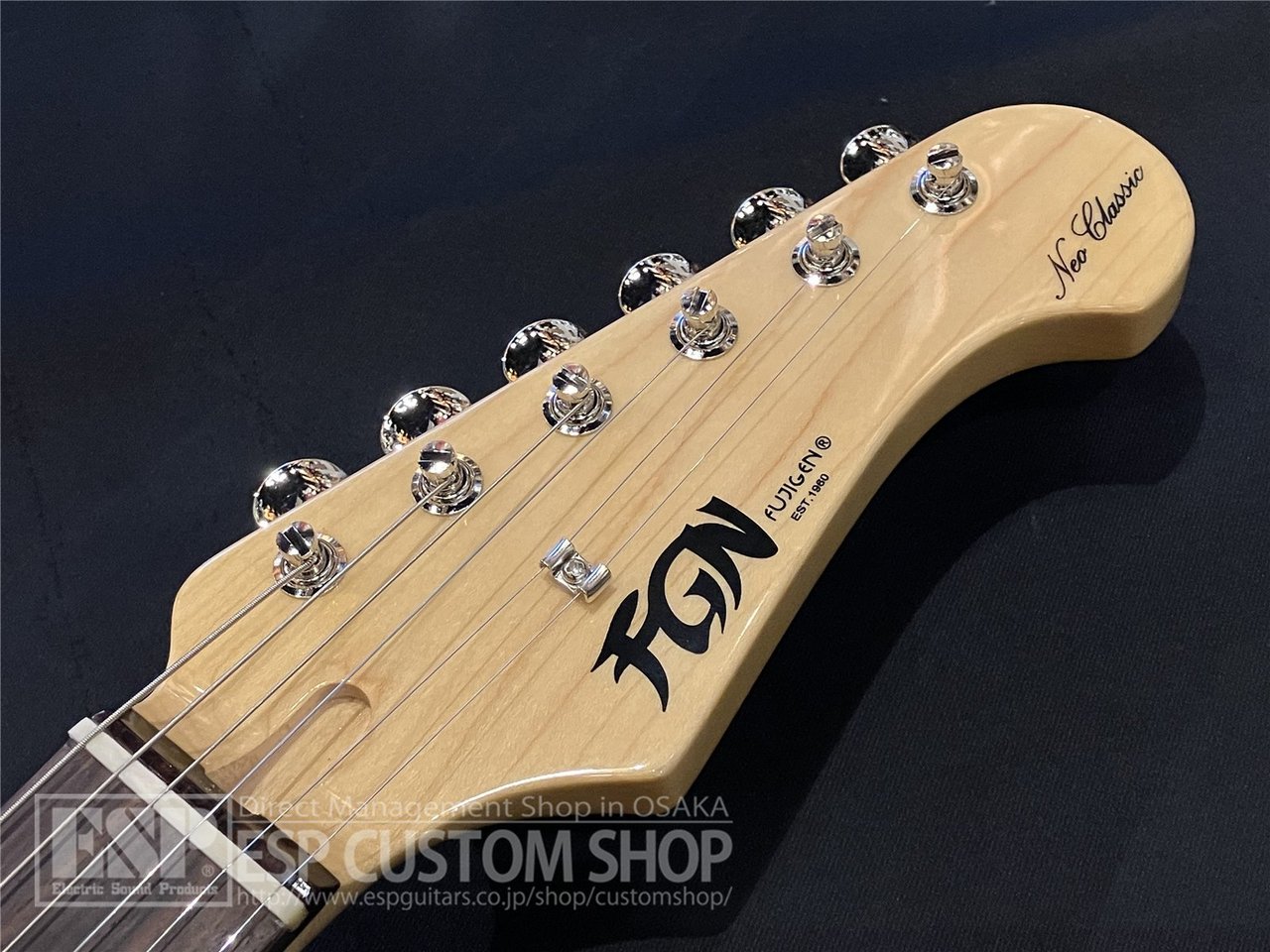 【即納可能】FUJIGEN(FGN) NST100RAL / 3TS 大阪店