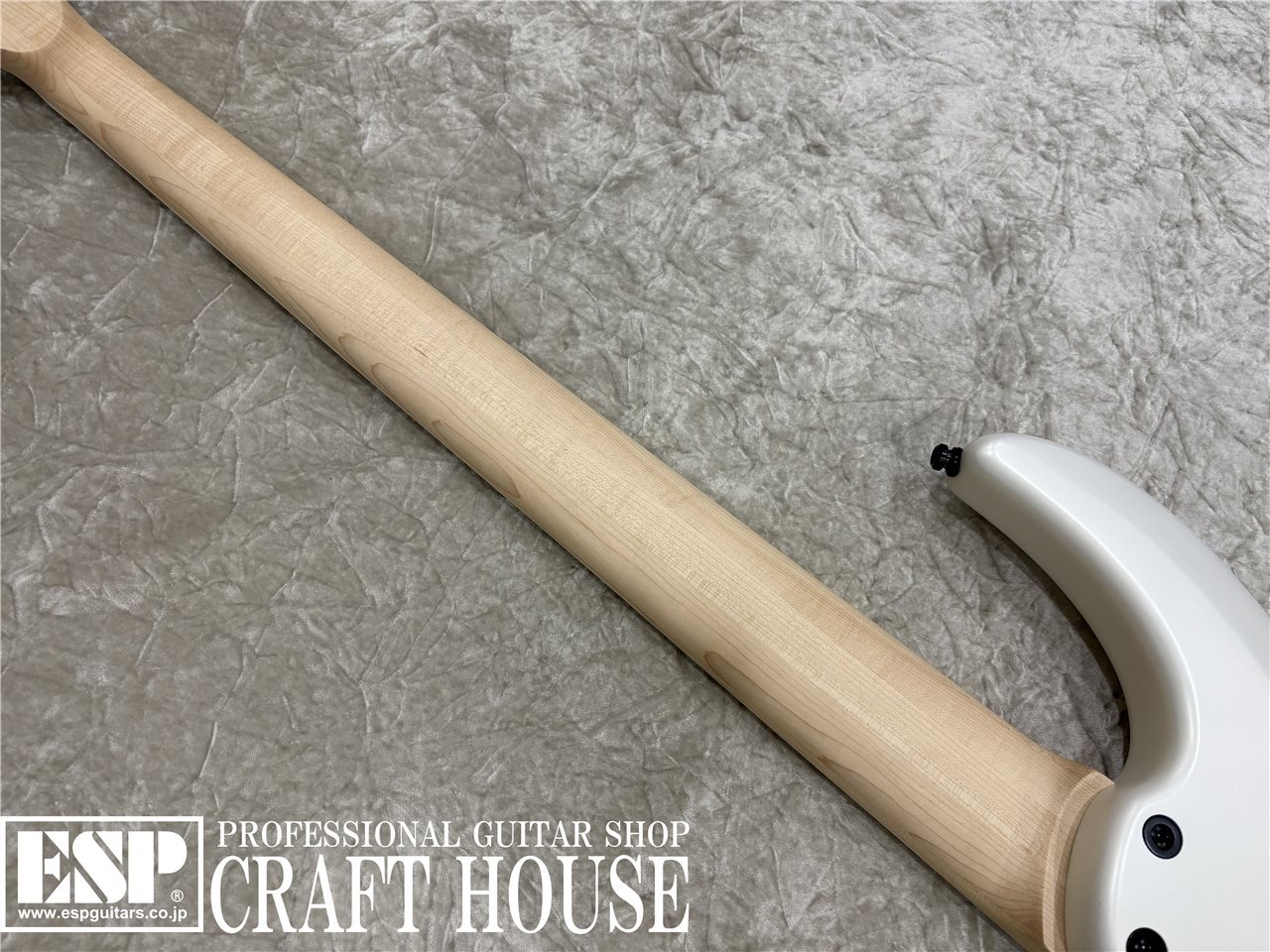 【USED/即納可能】Dingwall NG-3 5st / Ducati Pearl White　渋谷店