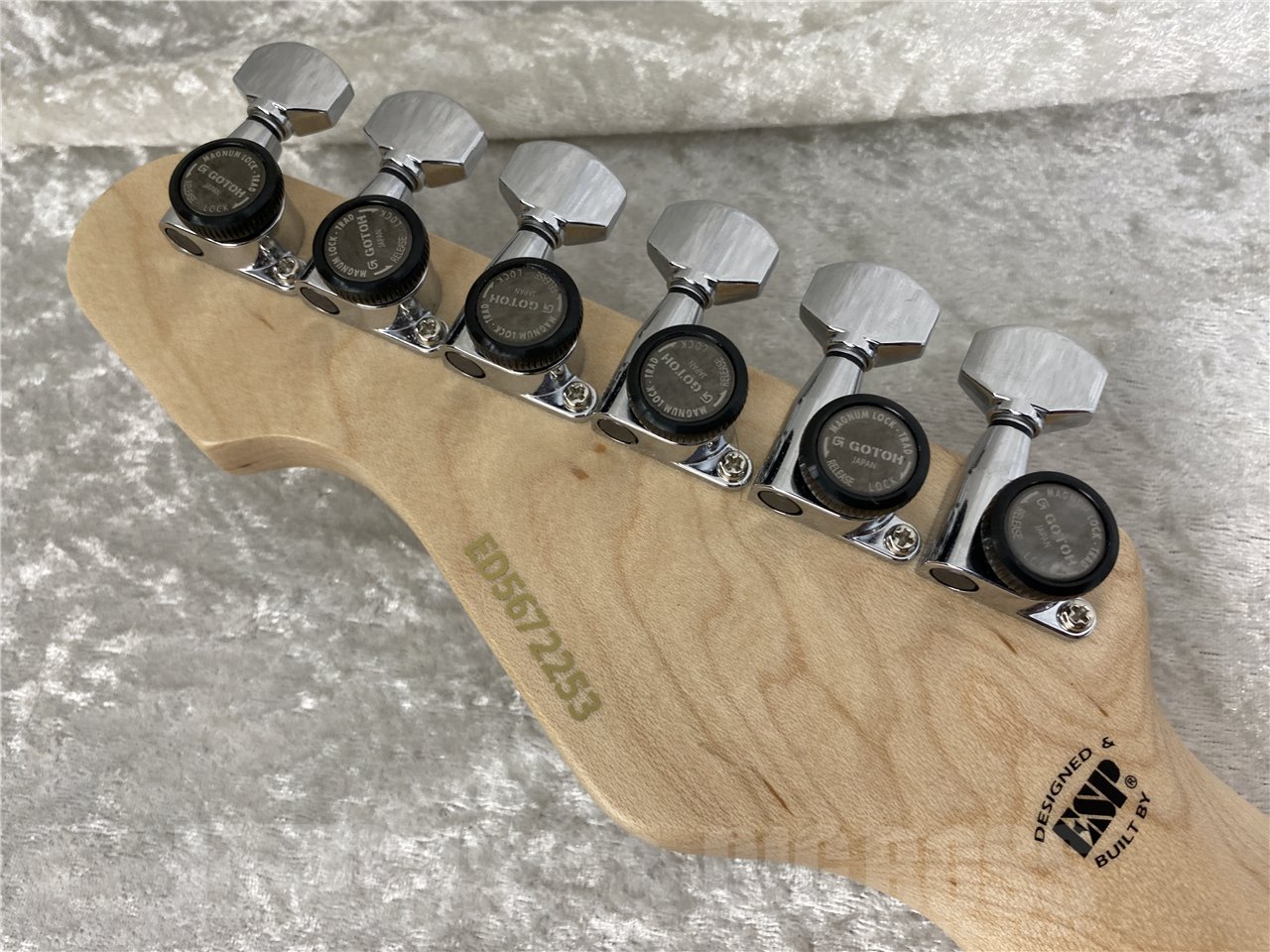 【即納可能】EDWARDS(エドワーズ) E-SNAPPER-AS/M (See Thru Blue Sunburst) お茶の水駅前店(東京)