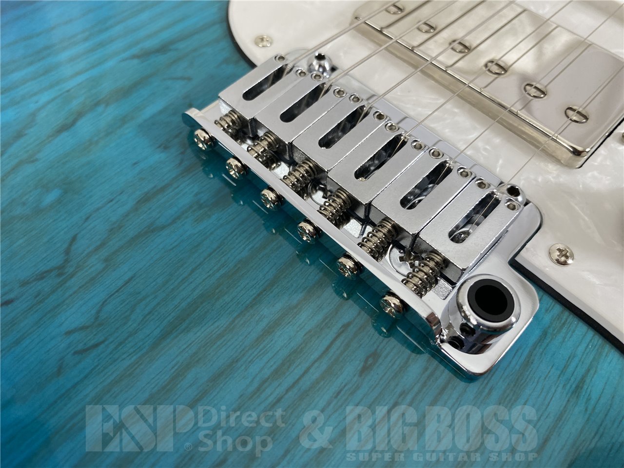 【即納可能】EDWARDS(エドワーズ) E-SNAPPER-AS/M (See Thru Blue Sunburst) お茶の水駅前店(東京)