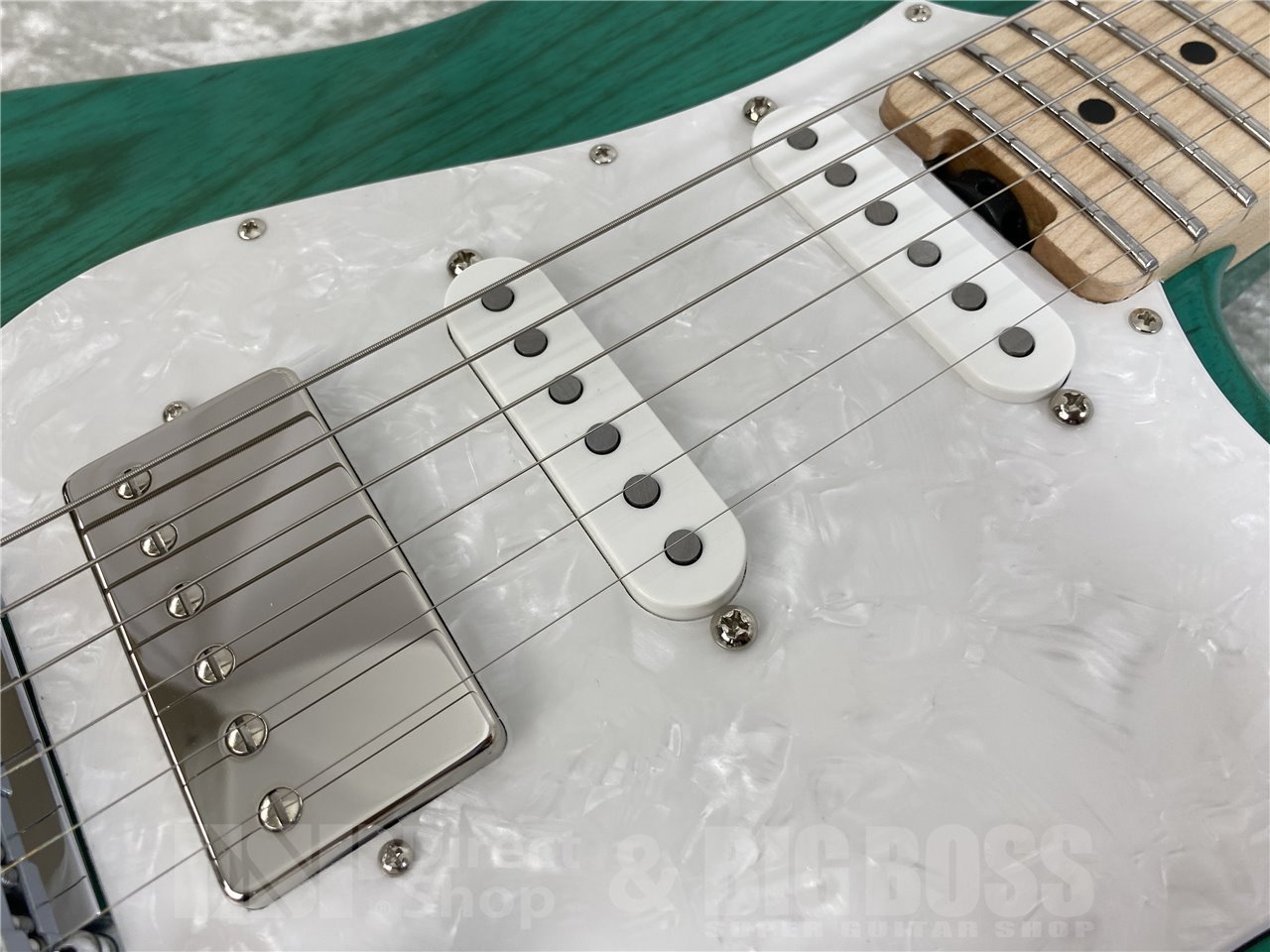 【即納可能】EDWARDS(エドワーズ) E-SNAPPER-AS/M(Turquoise) お茶の水駅前店(東京)