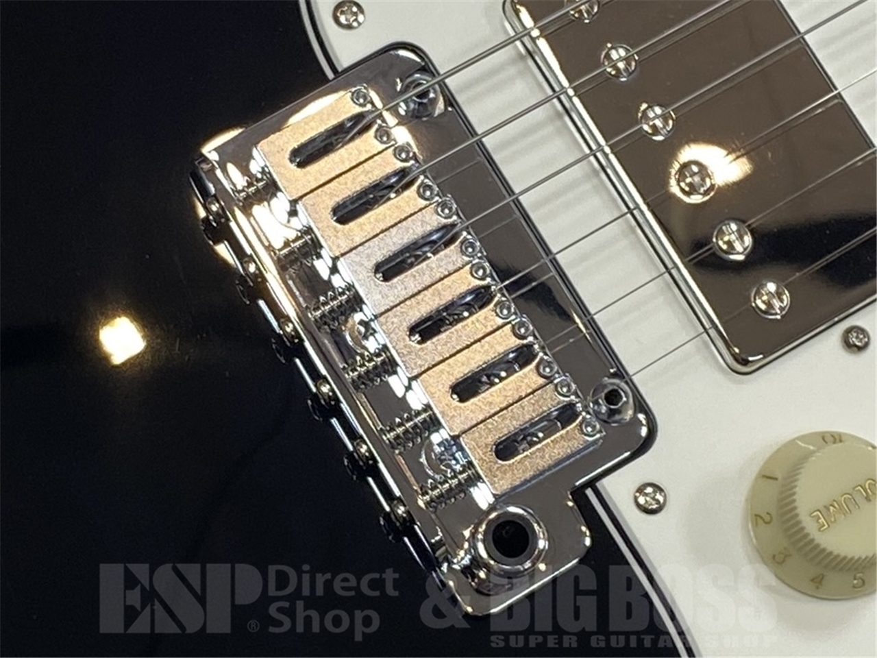 【即納可能】EDWARDS E-SNAPPER-AL/R/Black GWS