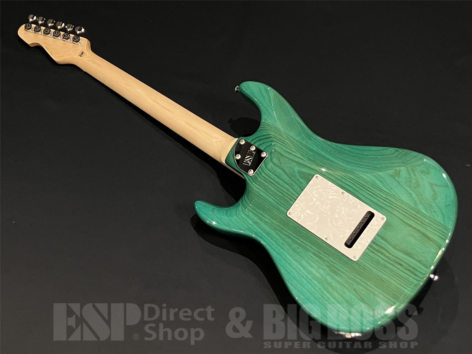 【即納可能】EDWARDS(エドワーズ) E-SNAPPER-AS/M / Turquoise 京都店