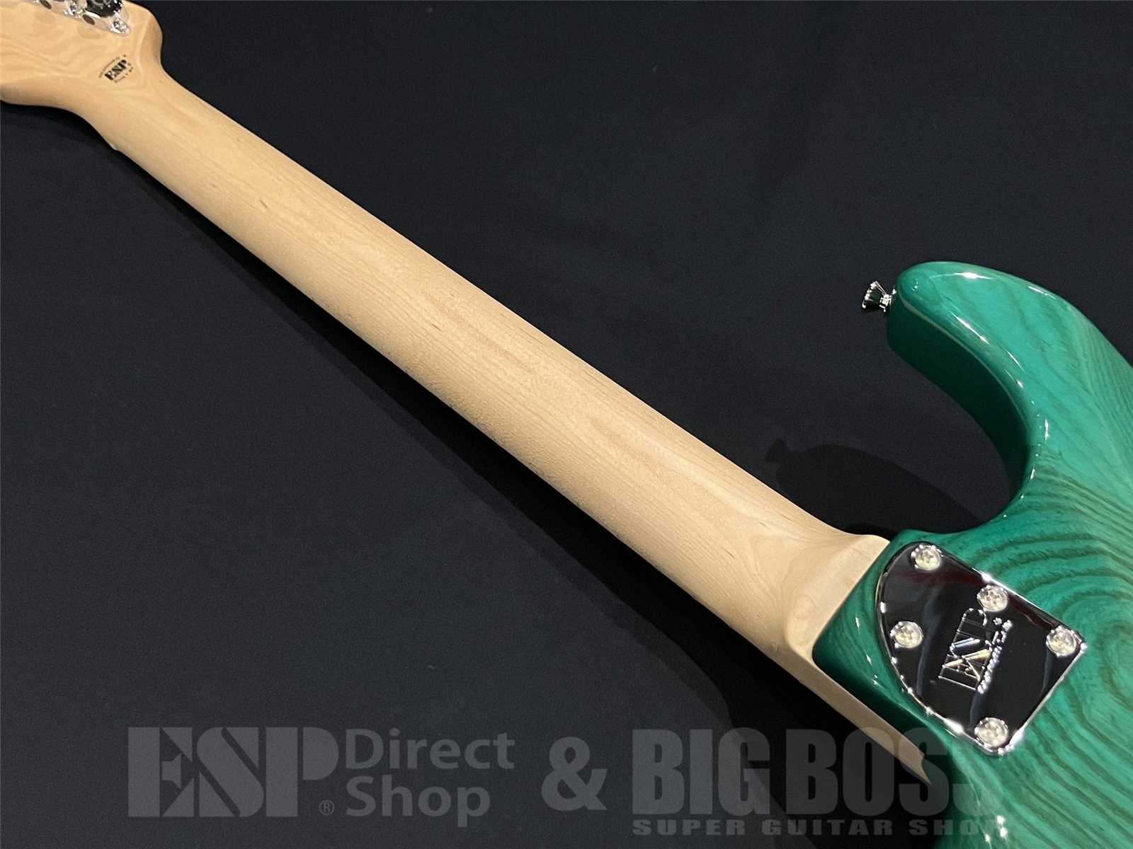 【即納可能】EDWARDS(エドワーズ) E-SNAPPER-AS/M / Turquoise 京都店