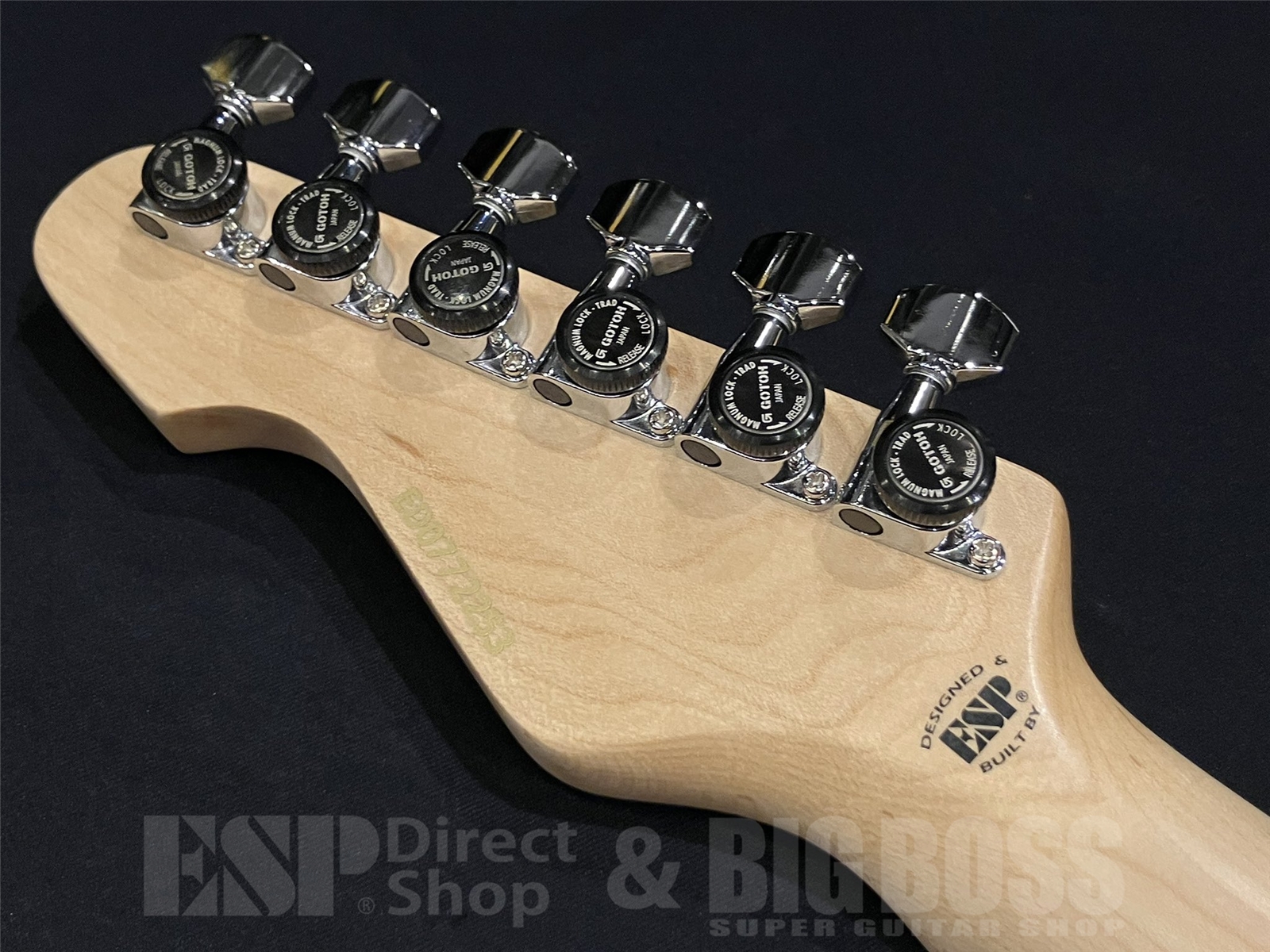 【即納可能】EDWARDS(エドワーズ) E-SNAPPER-AS/M / Turquoise 京都店