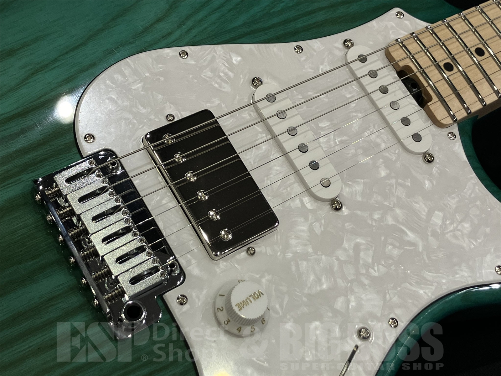 【即納可能】EDWARDS(エドワーズ) E-SNAPPER-AS/M / Turquoise 京都店