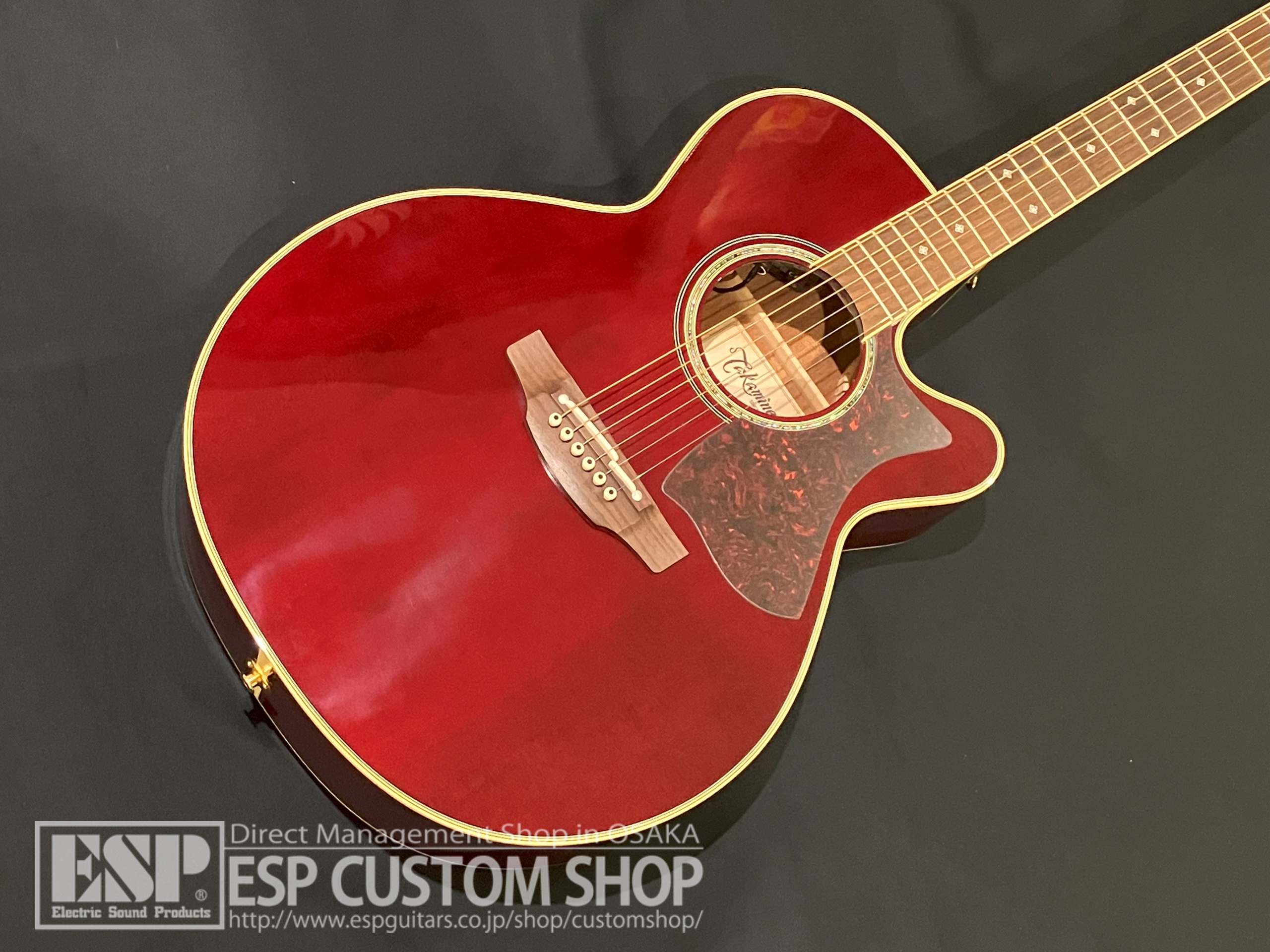 【即納可能】Takamine (タカミネ) DMP551C WR 大阪店