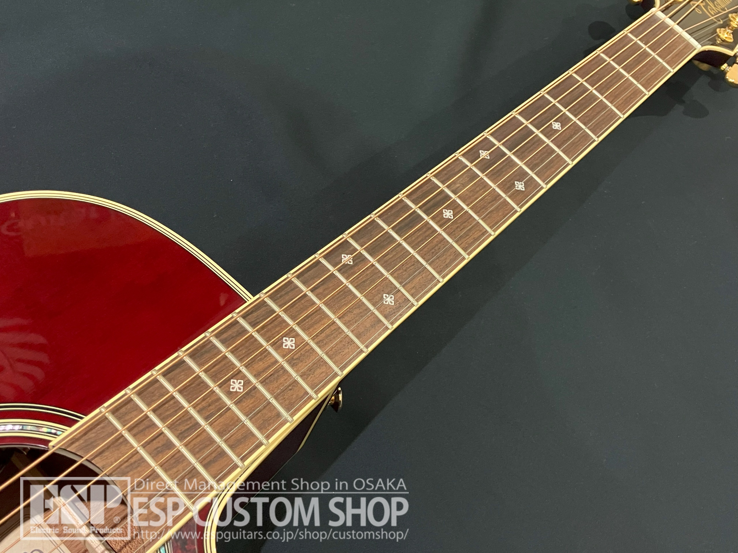 【即納可能】Takamine (タカミネ) DMP551C WR 大阪店