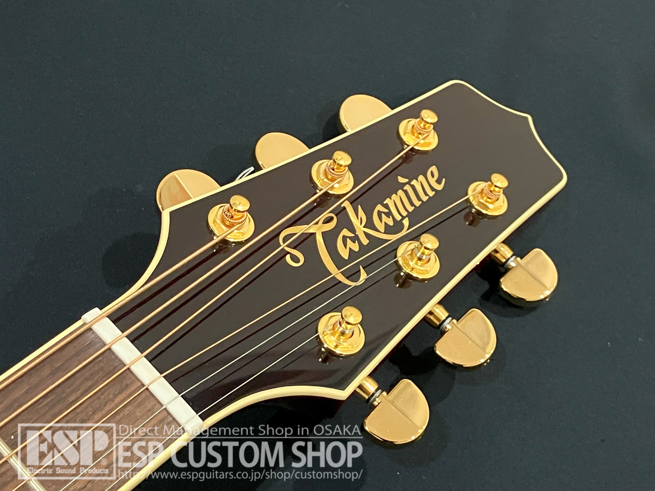 【即納可能】Takamine (タカミネ) DMP551C WR 大阪店