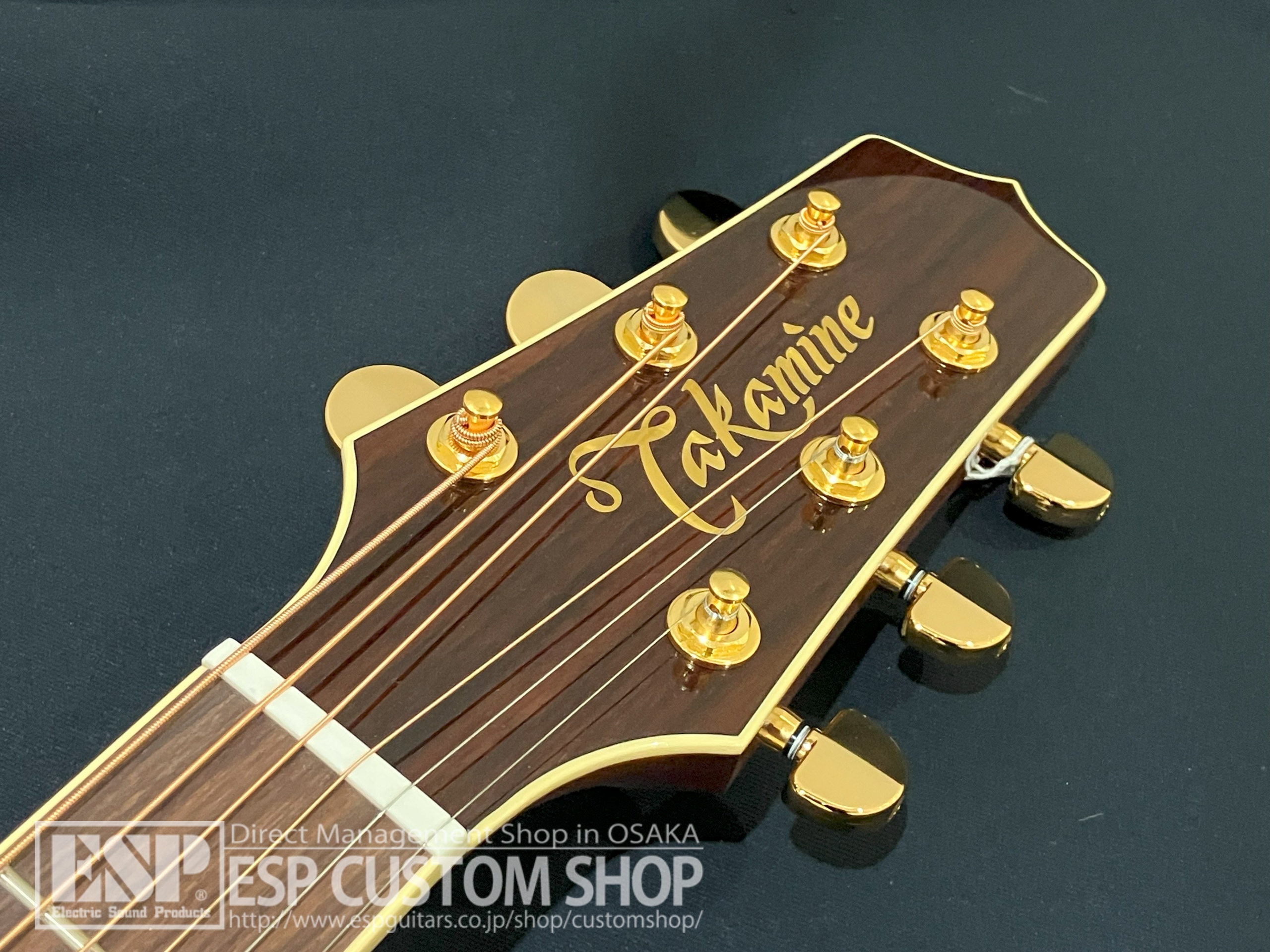 【即納可能】Takamine (タカミネ) PTU541C N 大阪店