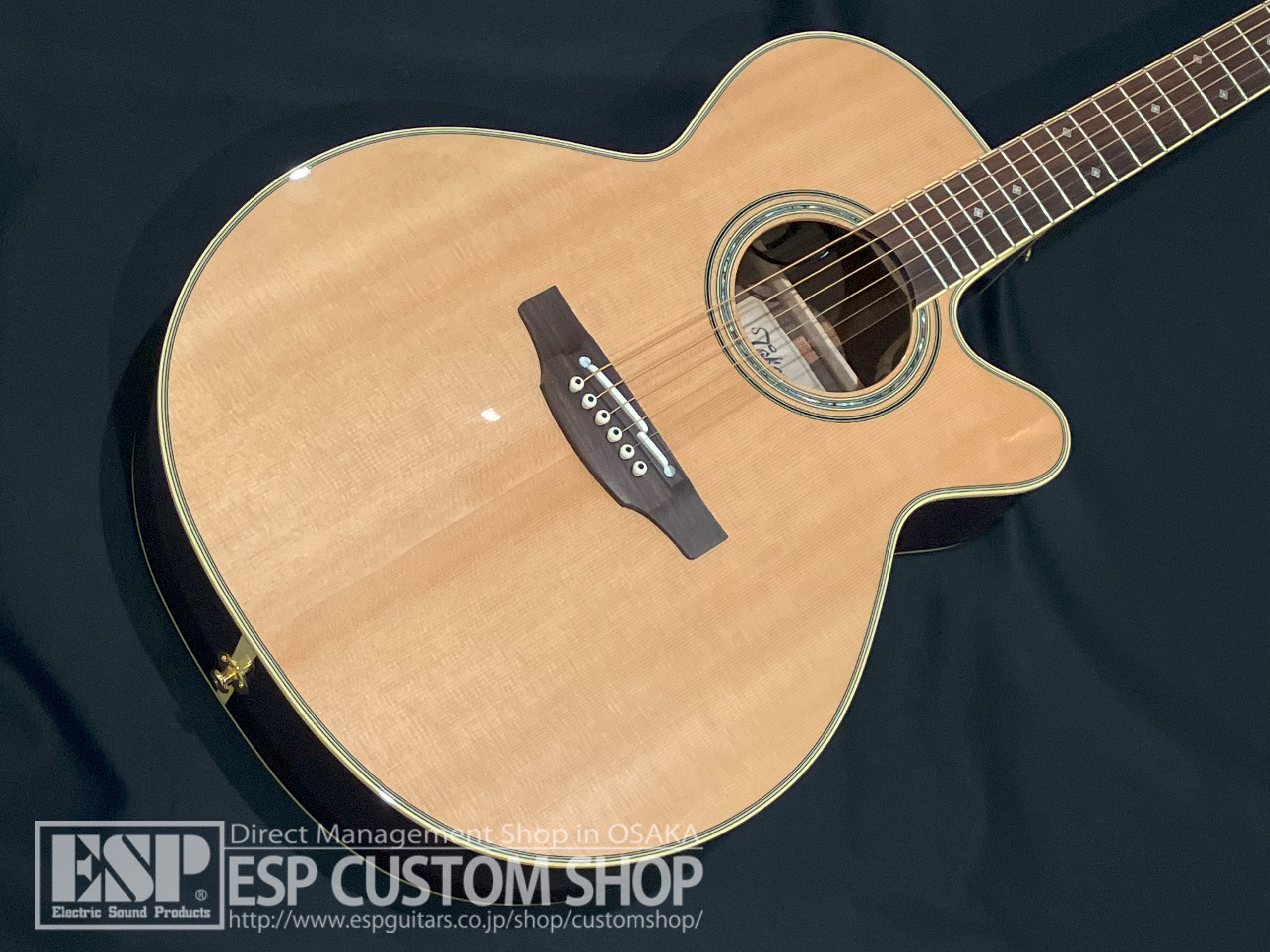 【即納可能】Takamine (タカミネ) PTU541C N 大阪店