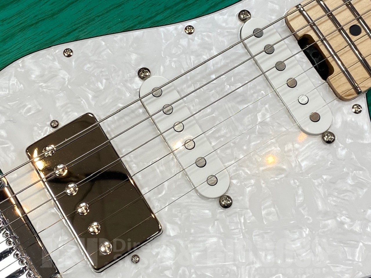 【即納可能】EDWARDS E-SNAPPER-AS/M /Turquoise GWS