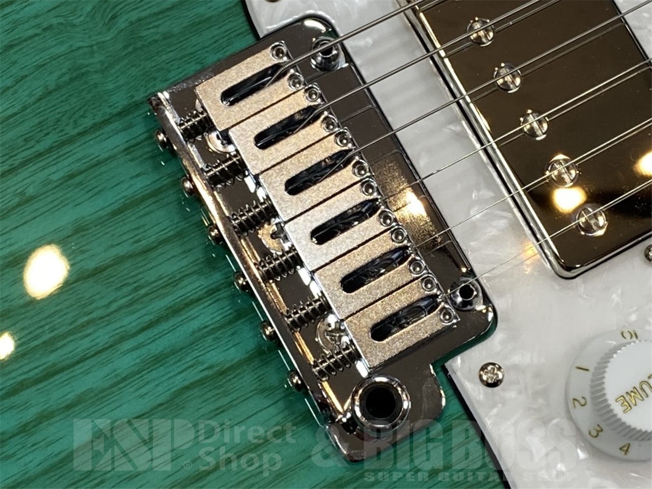 【即納可能】EDWARDS E-SNAPPER-AS/M /Turquoise GWS