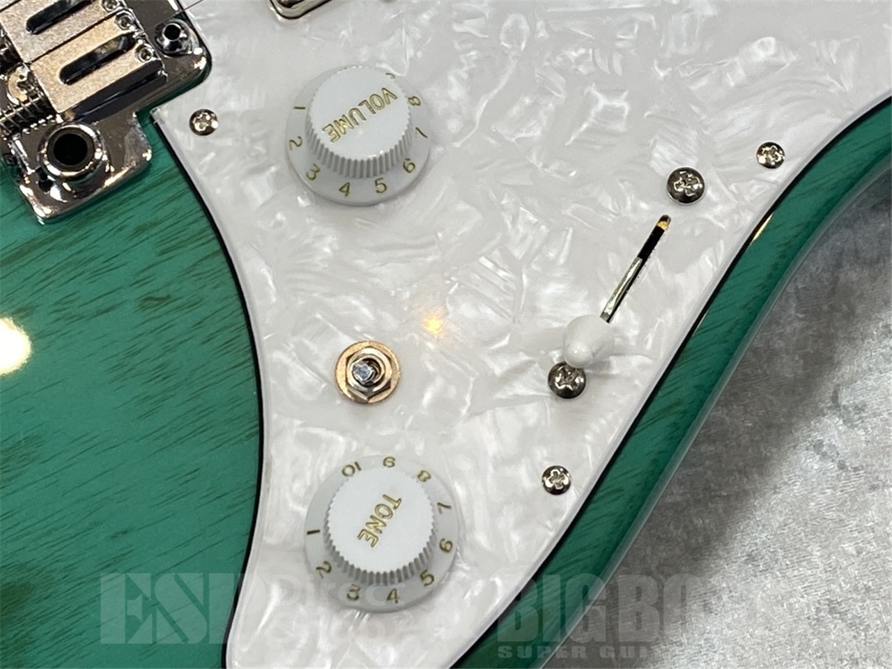 【即納可能】EDWARDS E-SNAPPER-AS/M /Turquoise GWS