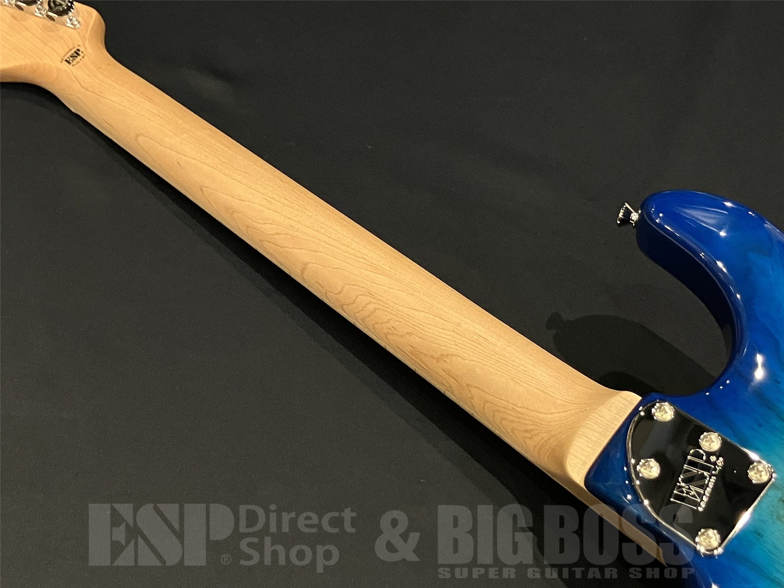 【即納可能】EDWARDS(エドワーズ) E-SNAPPER-AS/M / See Thru Blue Sunburst 京都店