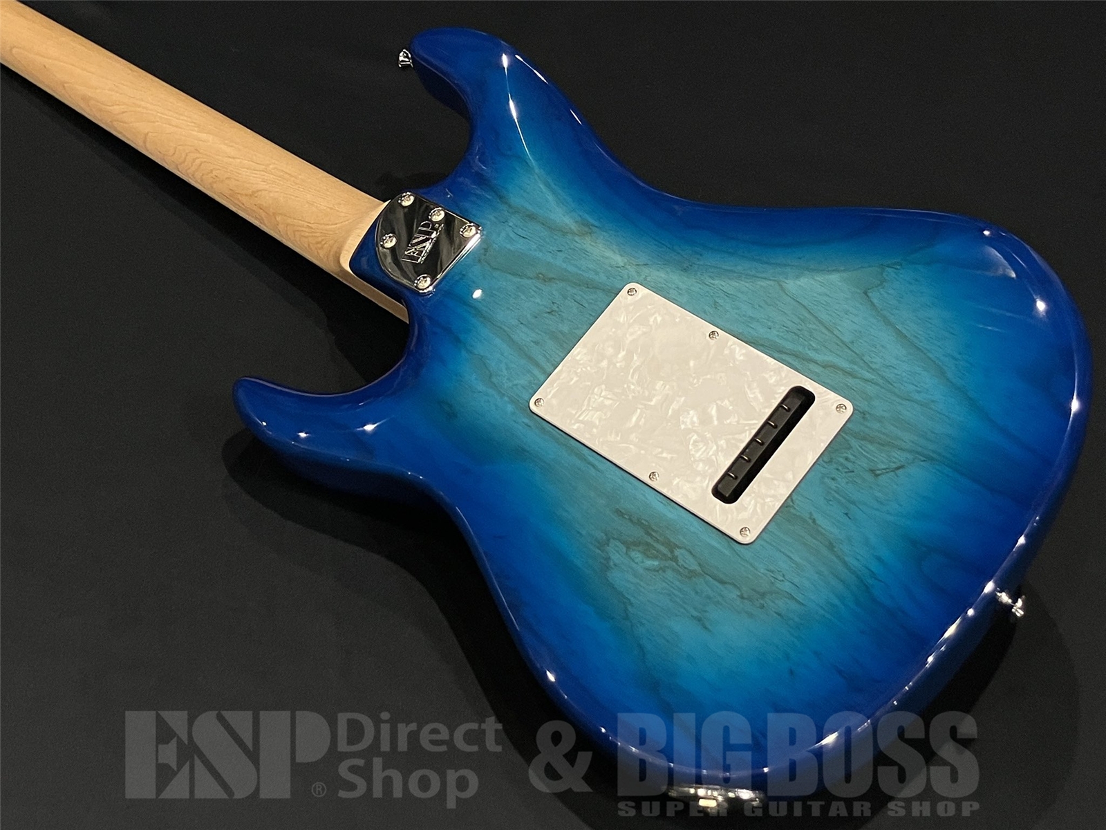 【即納可能】EDWARDS(エドワーズ) E-SNAPPER-AS/M / See Thru Blue Sunburst 京都店