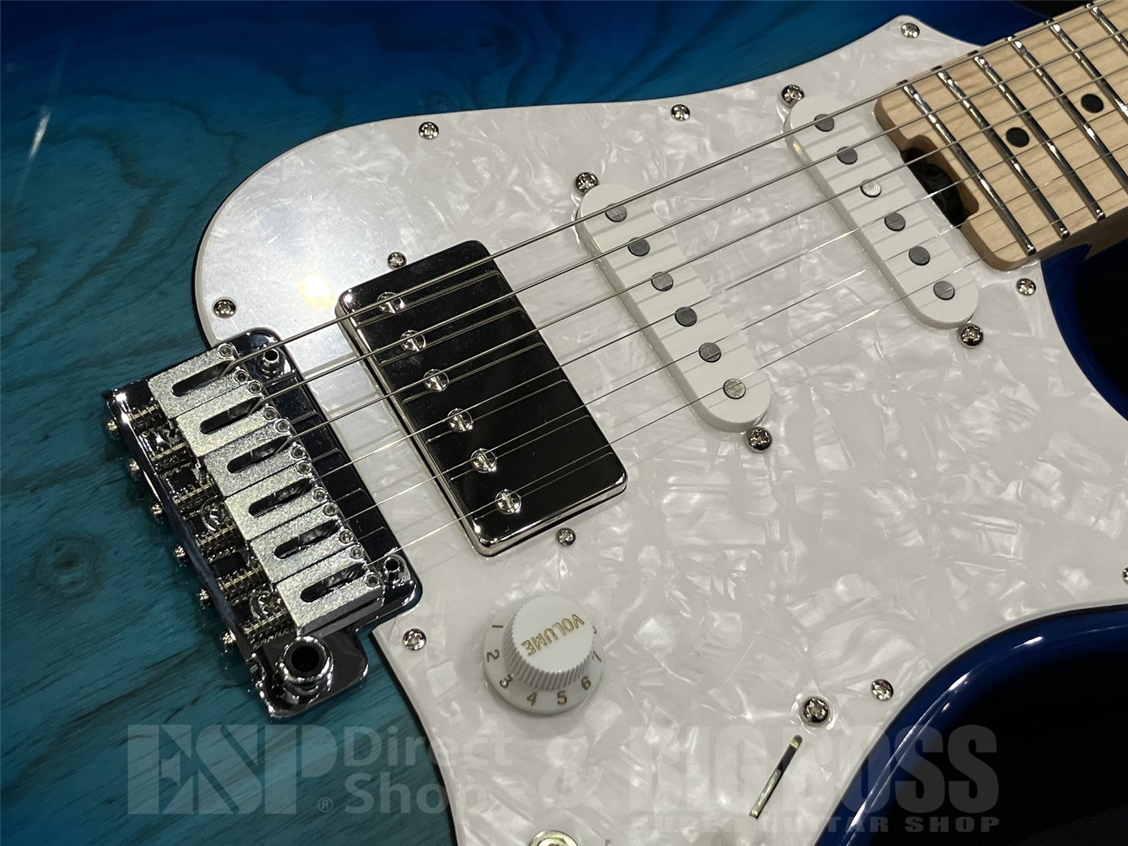 【即納可能】EDWARDS(エドワーズ) E-SNAPPER-AS/M / See Thru Blue Sunburst 京都店