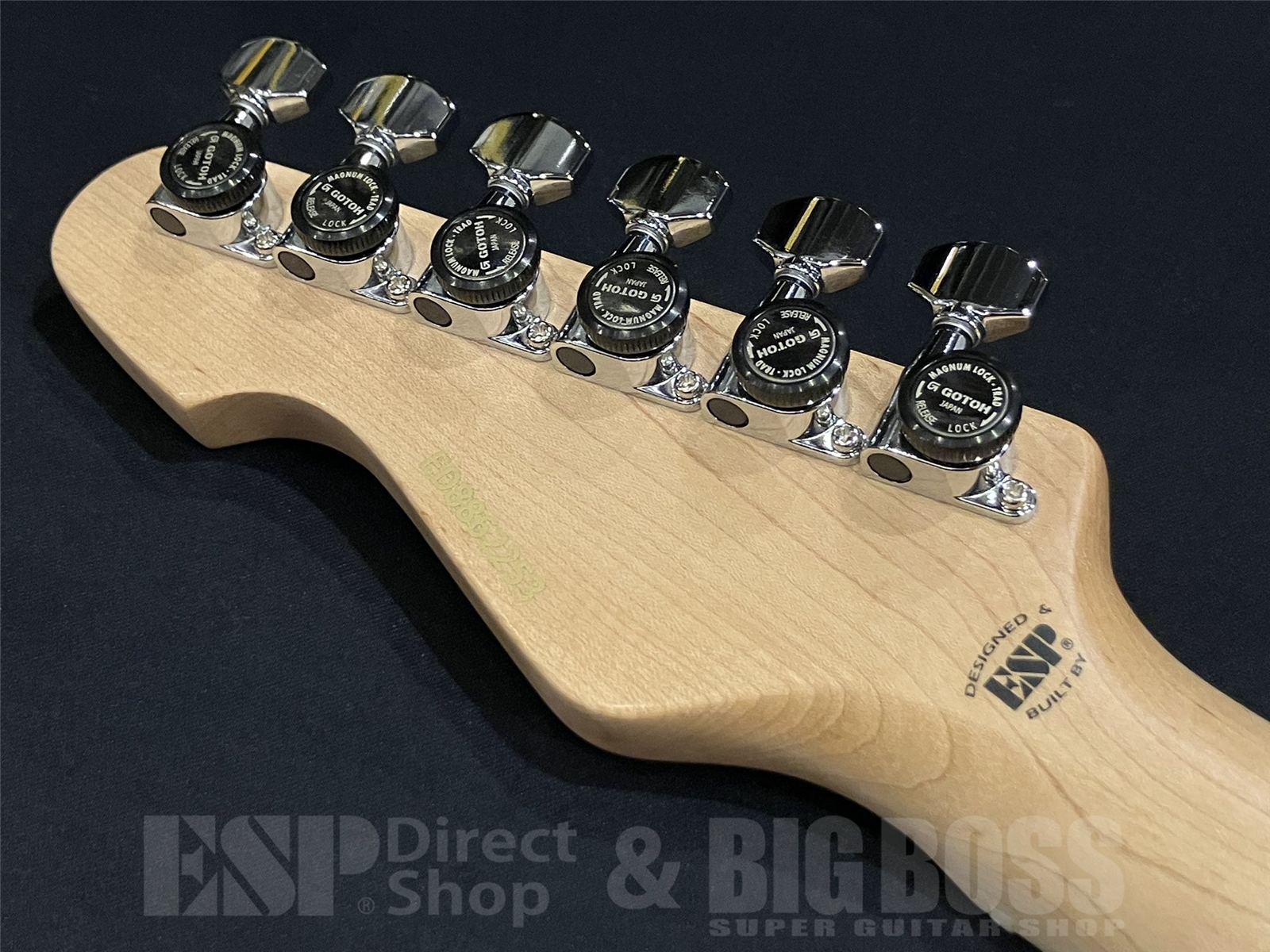 【即納可能】EDWARDS(エドワーズ) E-SNAPPER-AS/M / See Thru Blue Sunburst 京都店