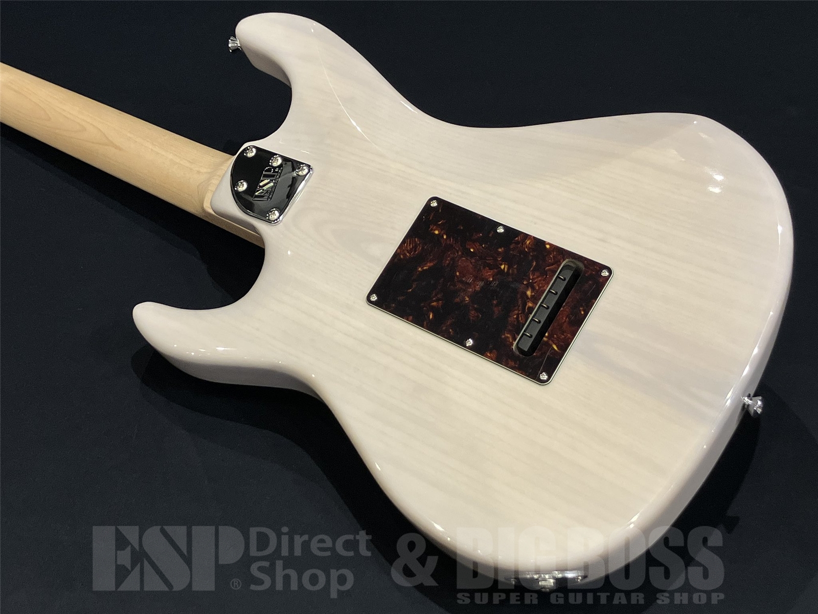 【即納可能】EDWARDS(エドワーズ) E-SNAPPER-AS/M / Blond 京都店