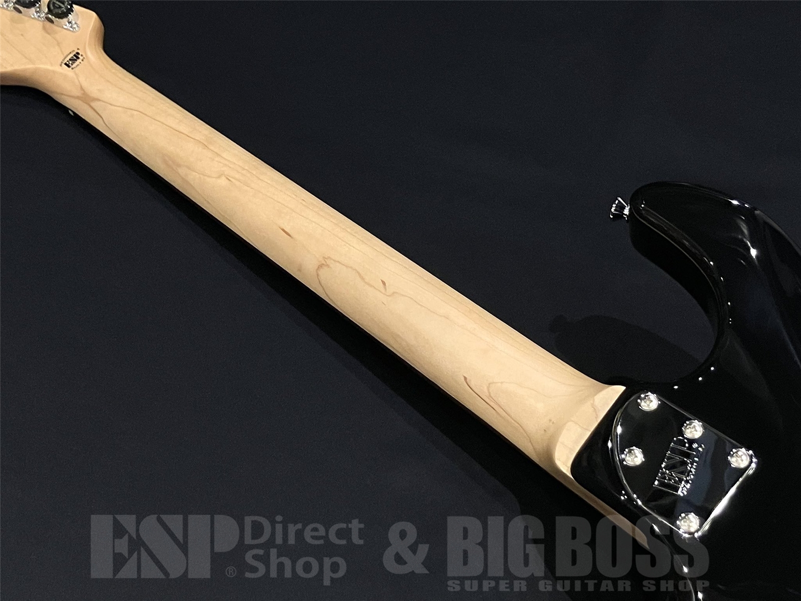 【即納可能】EDWARDS(エドワーズ) E-SNAPPER-AL/R / Black 京都店