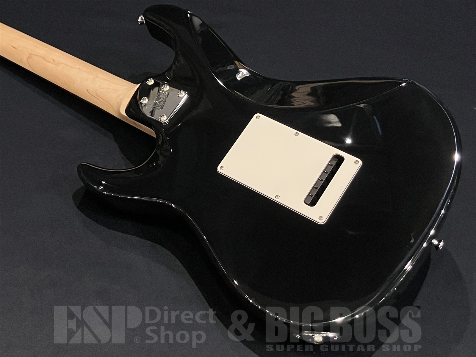 【即納可能】EDWARDS(エドワーズ) E-SNAPPER-AL/R / Black 京都店