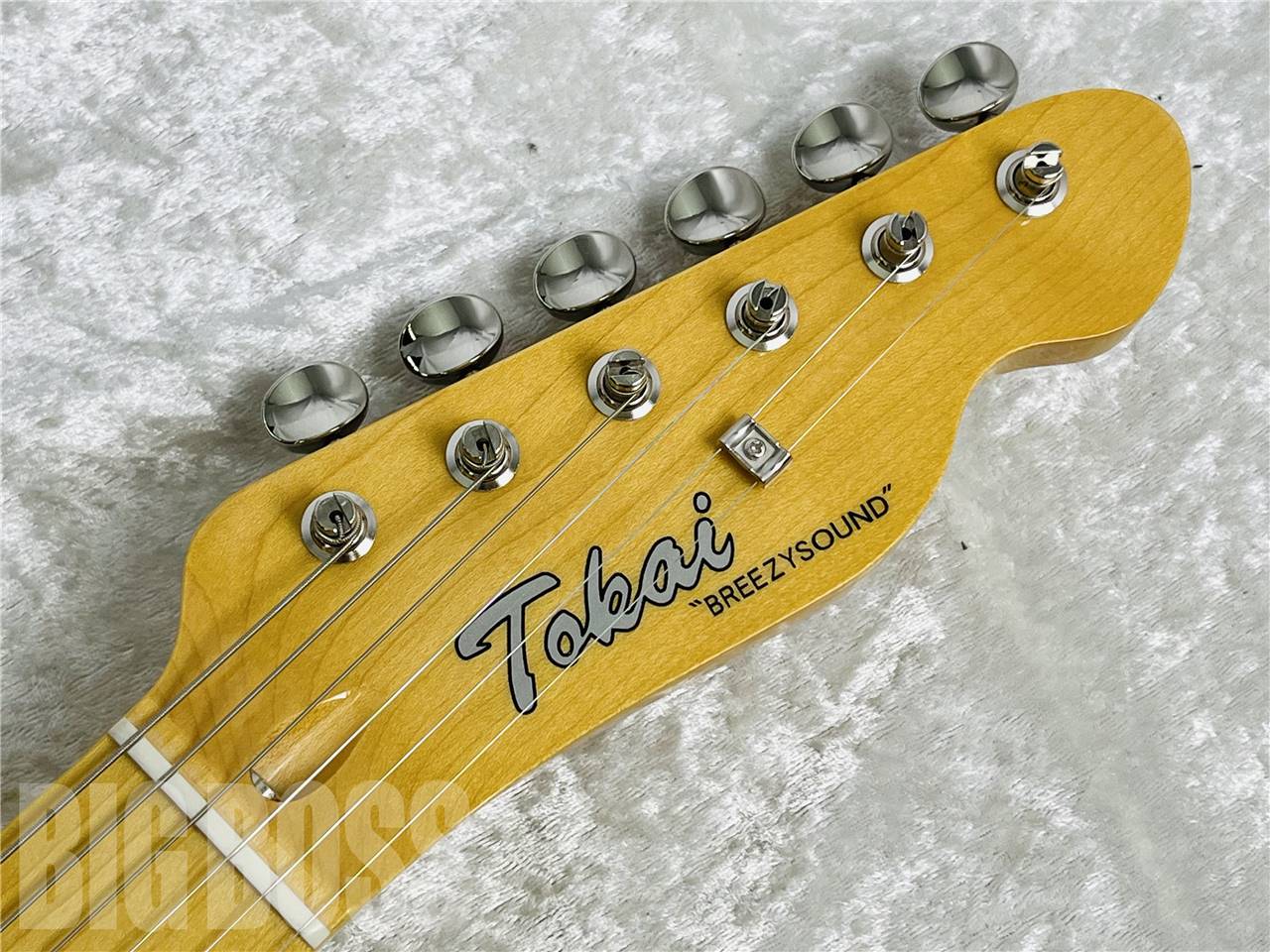 【即納可能】TOKAI(トーカイ)  ATE101/Lake Placid Blue  お茶の水駅前店・別館