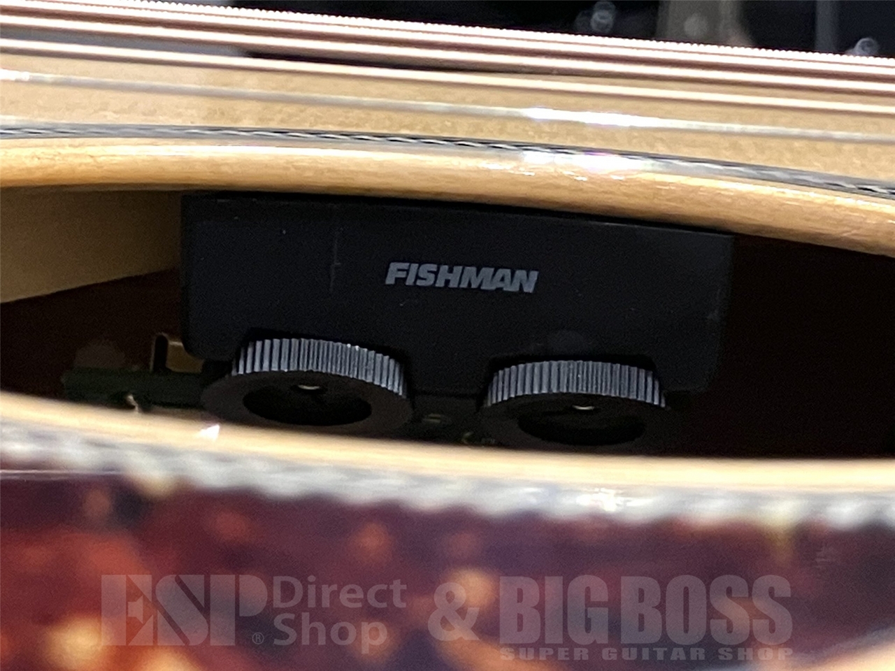 【即納可能】Eastman(イーストマン) E1-OMCE-Special / 京都店