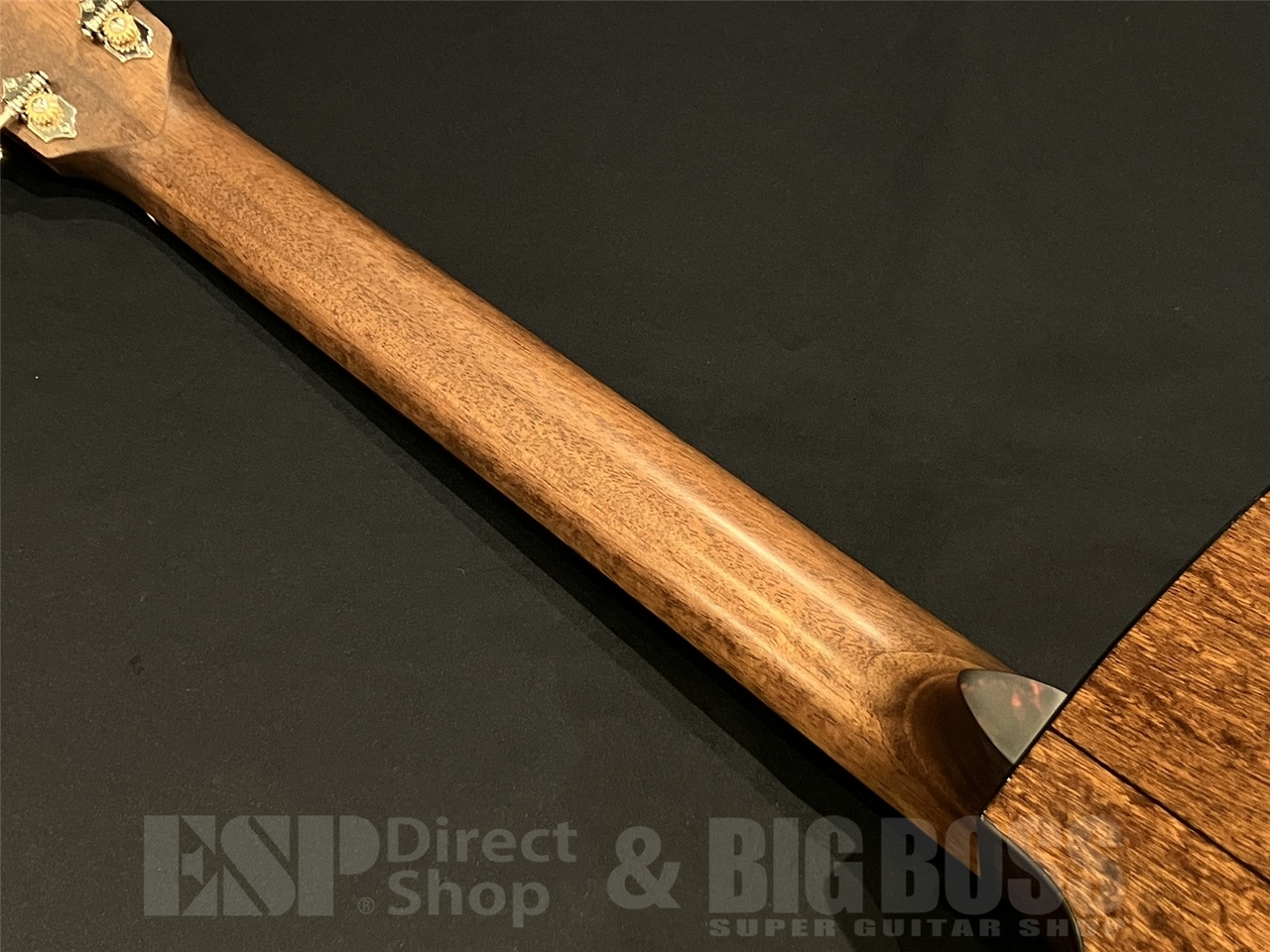 【即納可能】Eastman(イーストマン) E1-OMCE-Special / 京都店