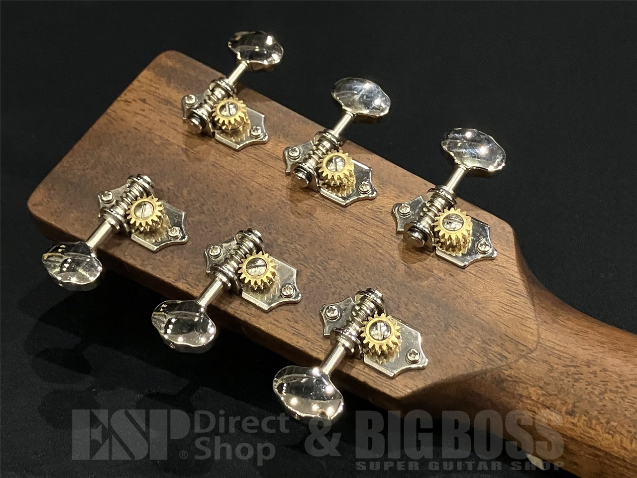 【即納可能】Eastman(イーストマン) E1-OMCE-Special / 京都店