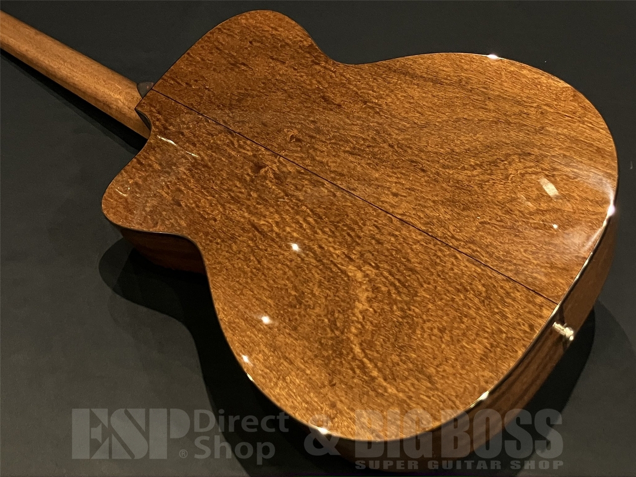 【即納可能】Eastman(イーストマン) E1-OMCE-Special / 京都店