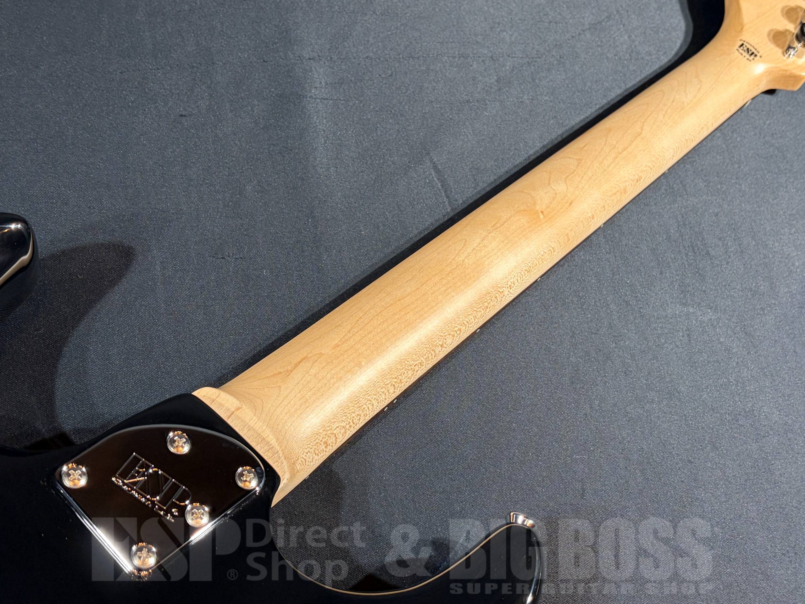 【即納可能】EDWARDS(エドワーズ) E-SNAPPER-AL/R Black 大阪店