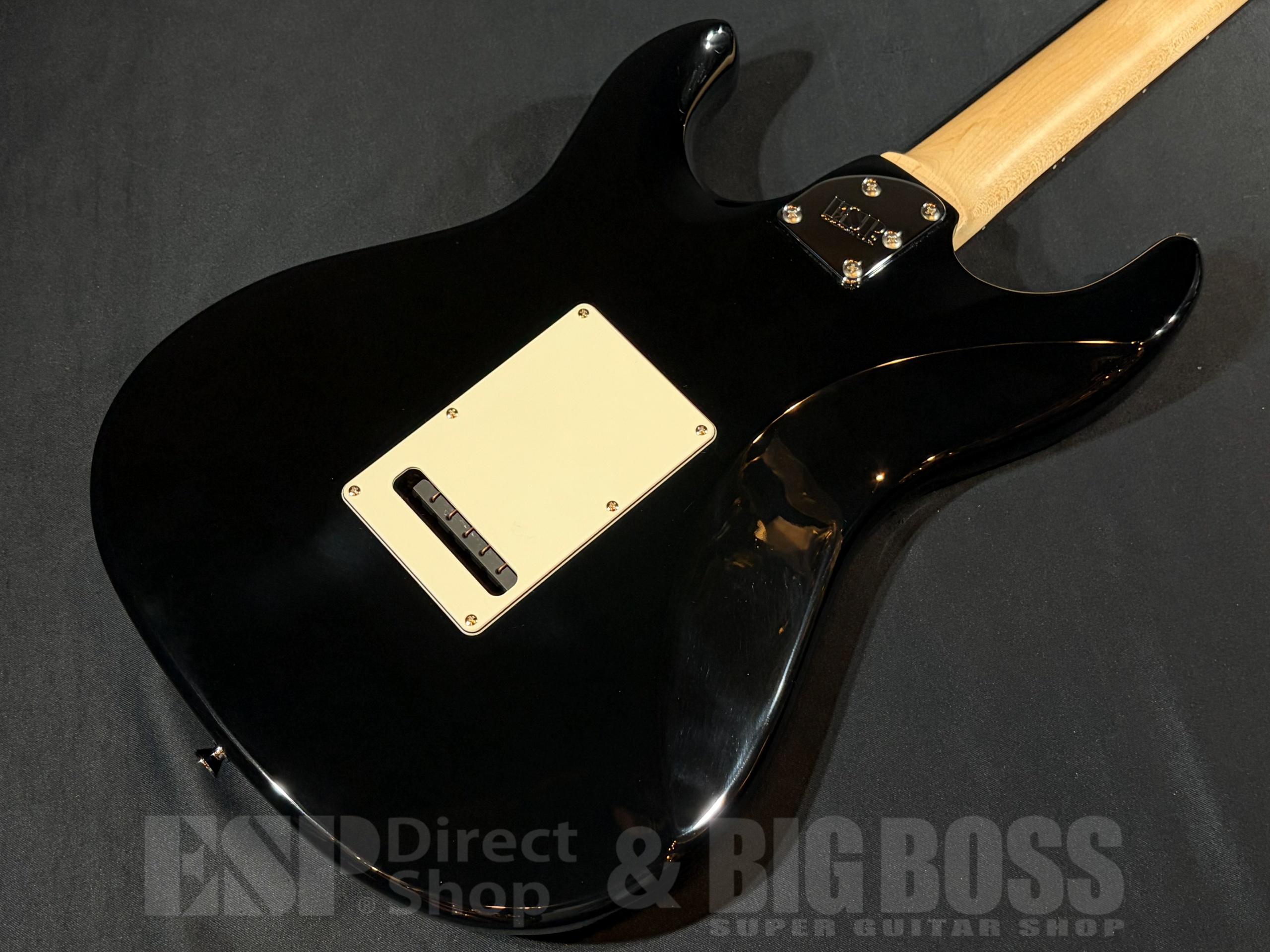 【即納可能】EDWARDS(エドワーズ) E-SNAPPER-AL/R Black 大阪店