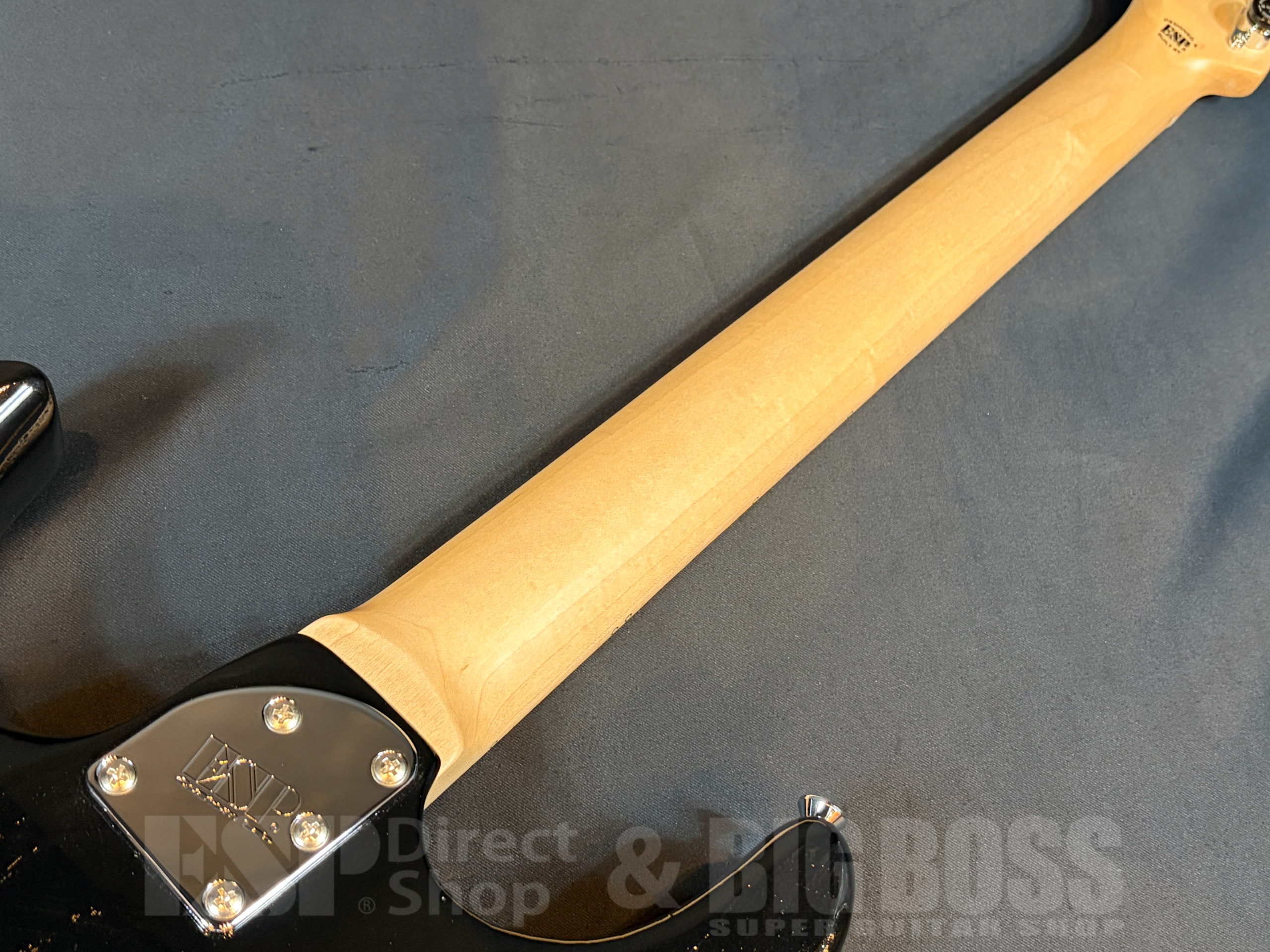 【即納可能】EDWARDS(エドワーズ) E-SNAPPER-AS/M Solid Black 大阪店