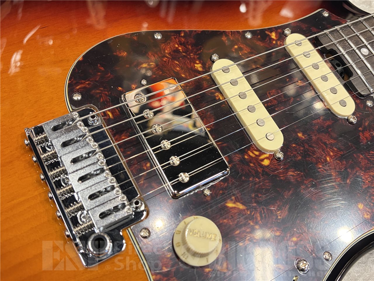 【即納可能】EDWARDS（エドワーズ）E-SNAPPER-AL/R（3 Tone Sunburst）　名古屋店