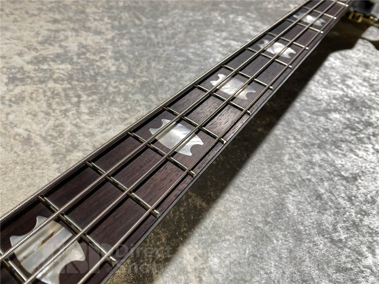 【即納可能】Spector(スペクター) Euro 4 Classic (Solid Black) 札幌店