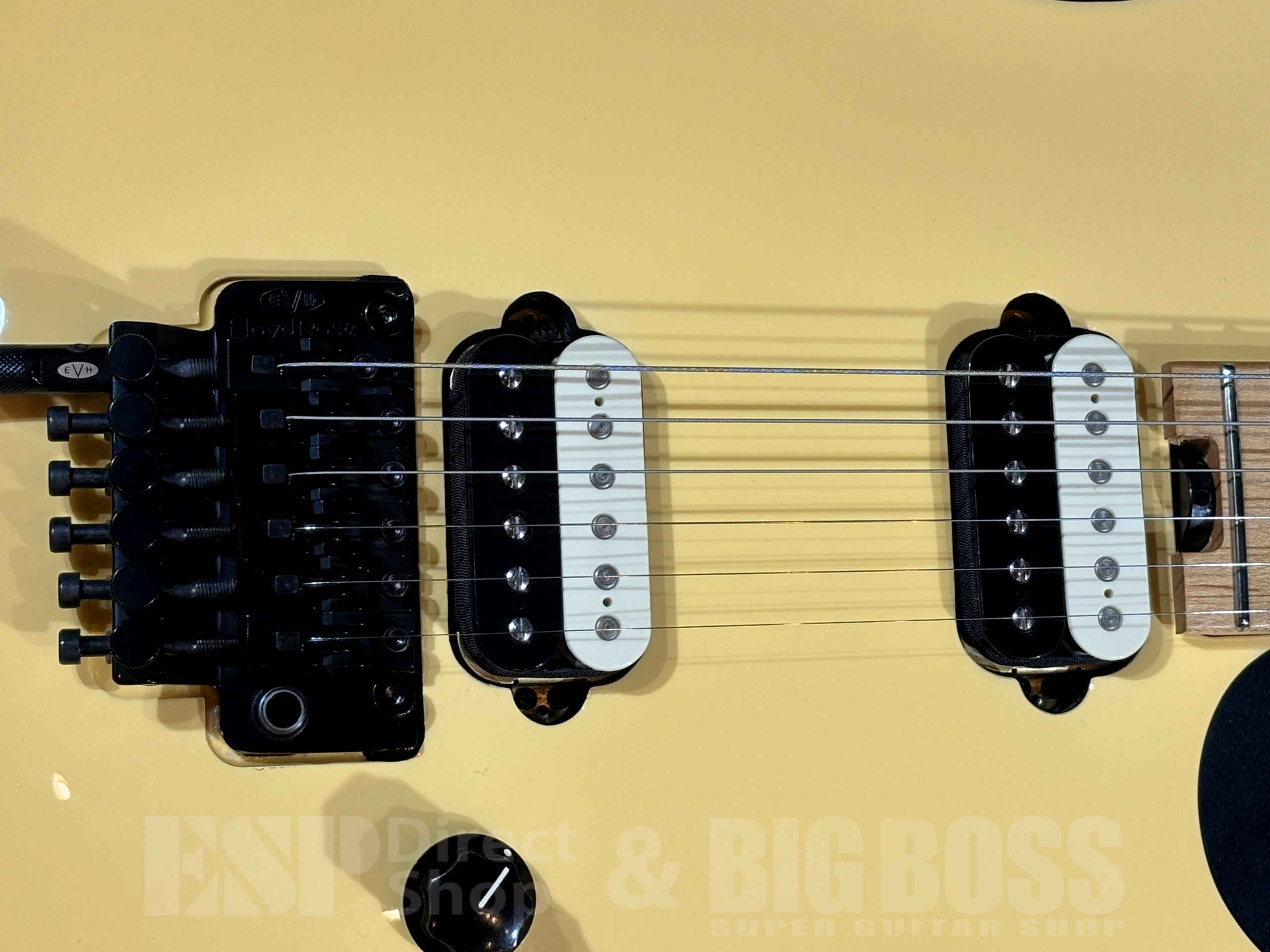 【即納可能/中古品】EVH WOLFGANG SPECIAL 大阪店