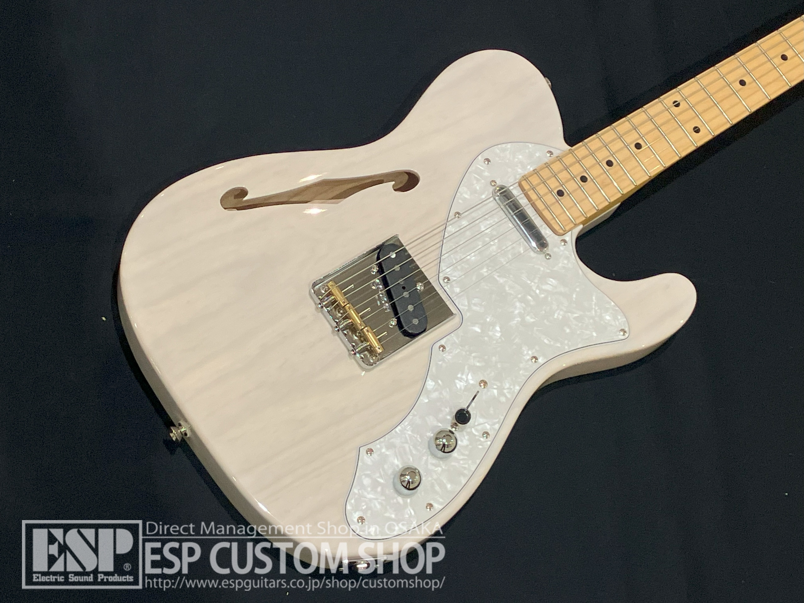 【即納可能】FUJIGEN(FGN) NTE100MAHT White Blonde 大阪店