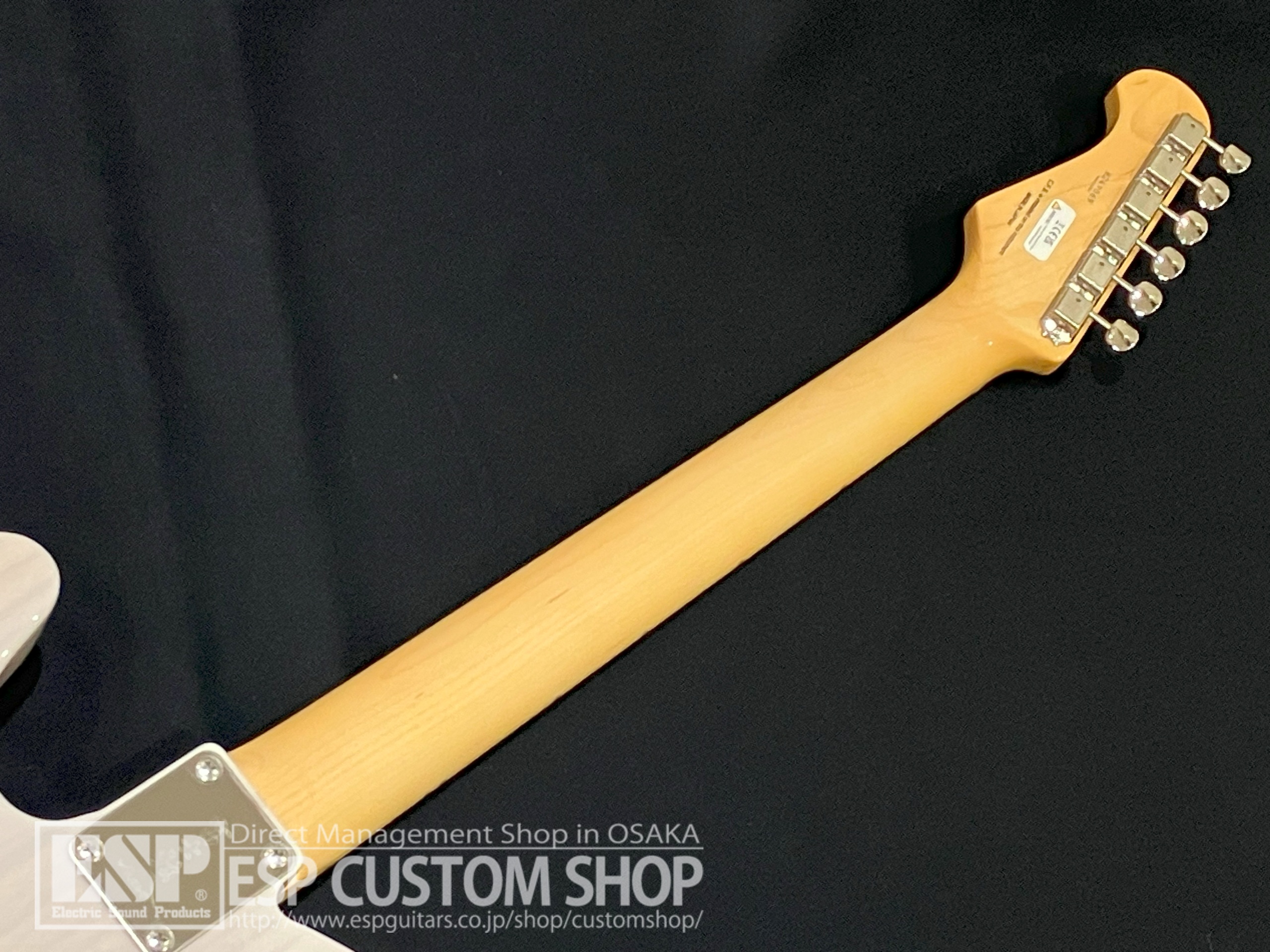 【即納可能】FUJIGEN(FGN) NTE100MAHT White Blonde 大阪店