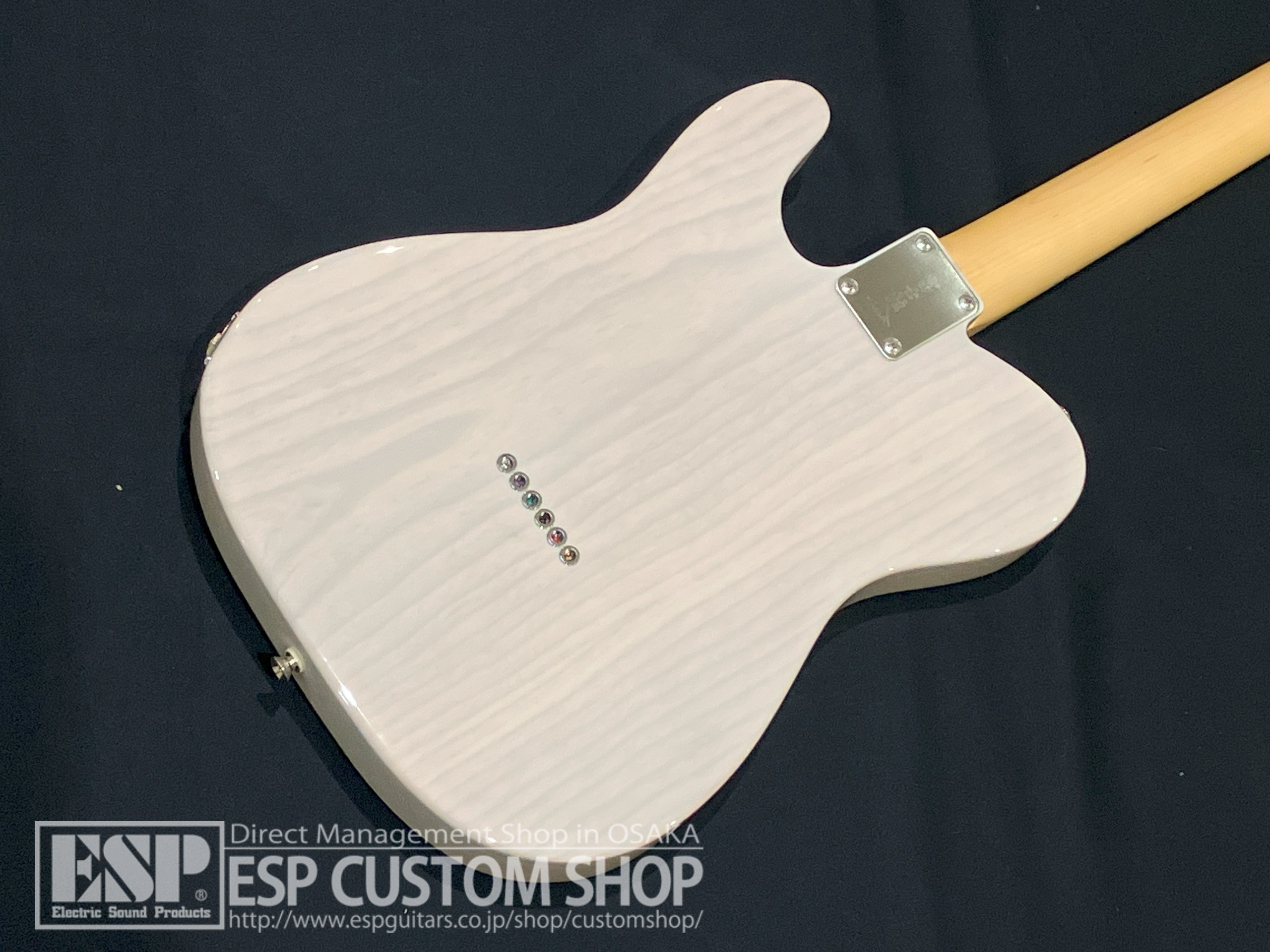 【即納可能】FUJIGEN(FGN) NTE100MAHT White Blonde 大阪店