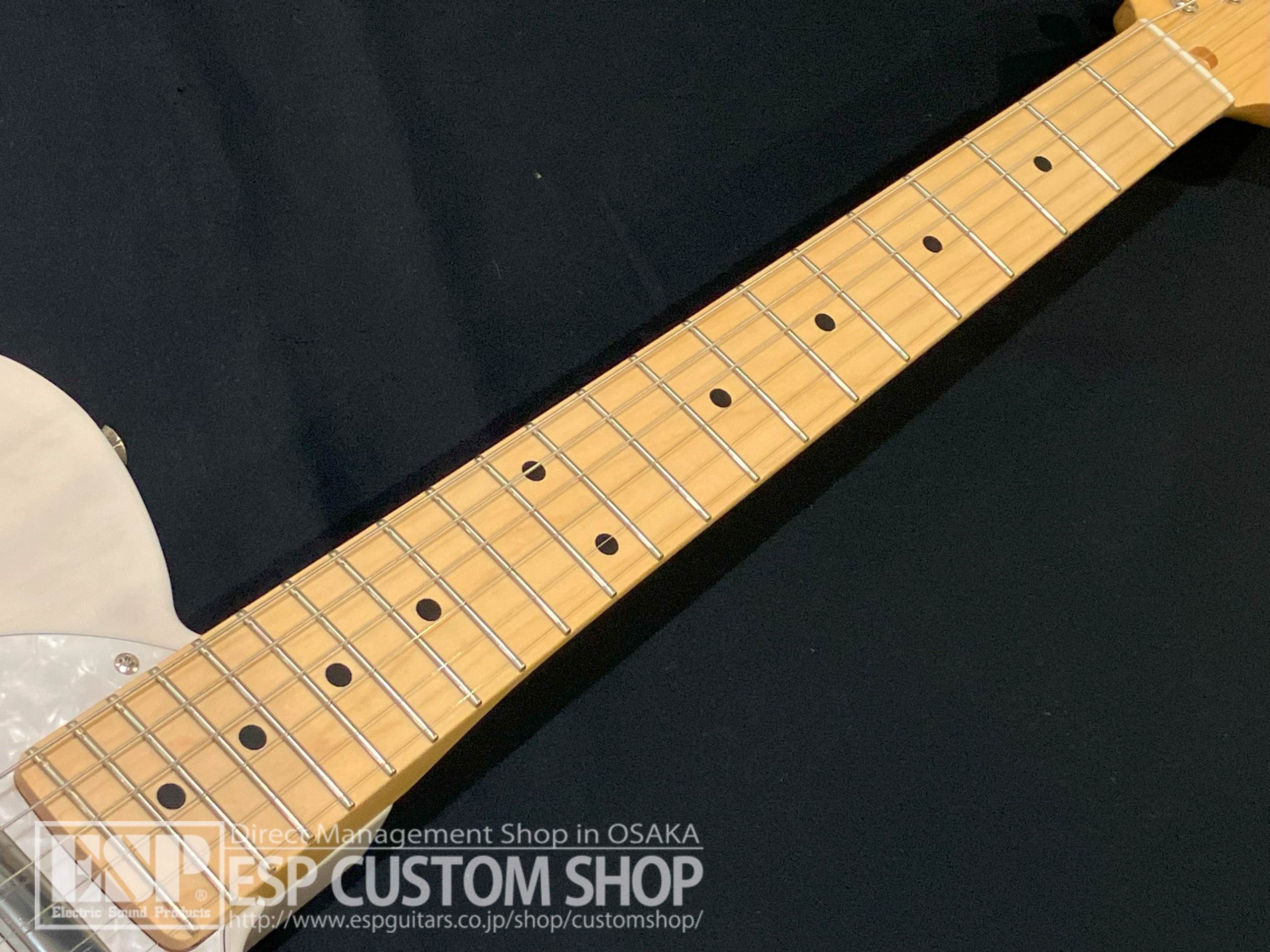 【即納可能】FUJIGEN(FGN) NTE100MAHT White Blonde 大阪店